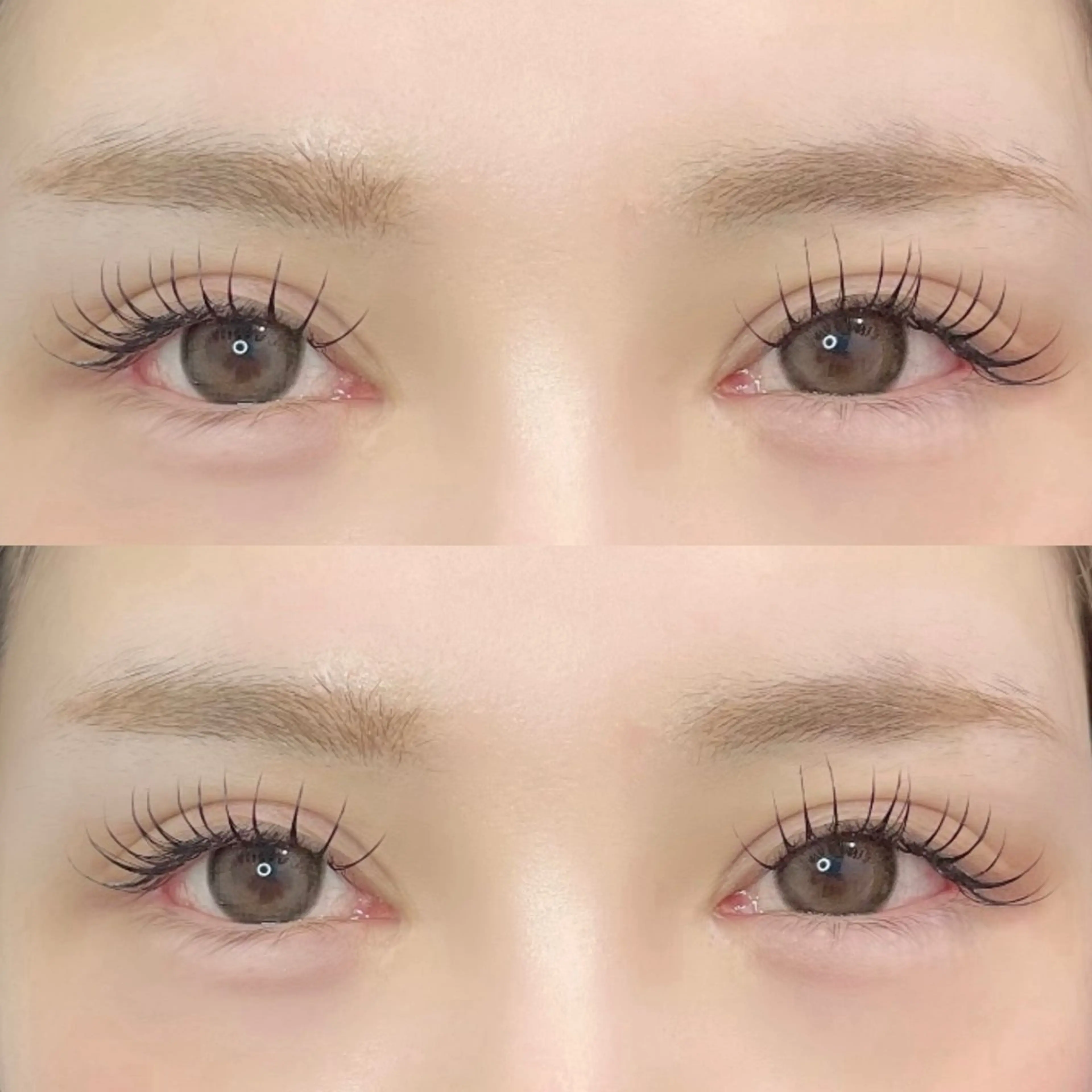 🐇フラットラッシュ(オフ無)🐇140本迄🐇￥7550の写真