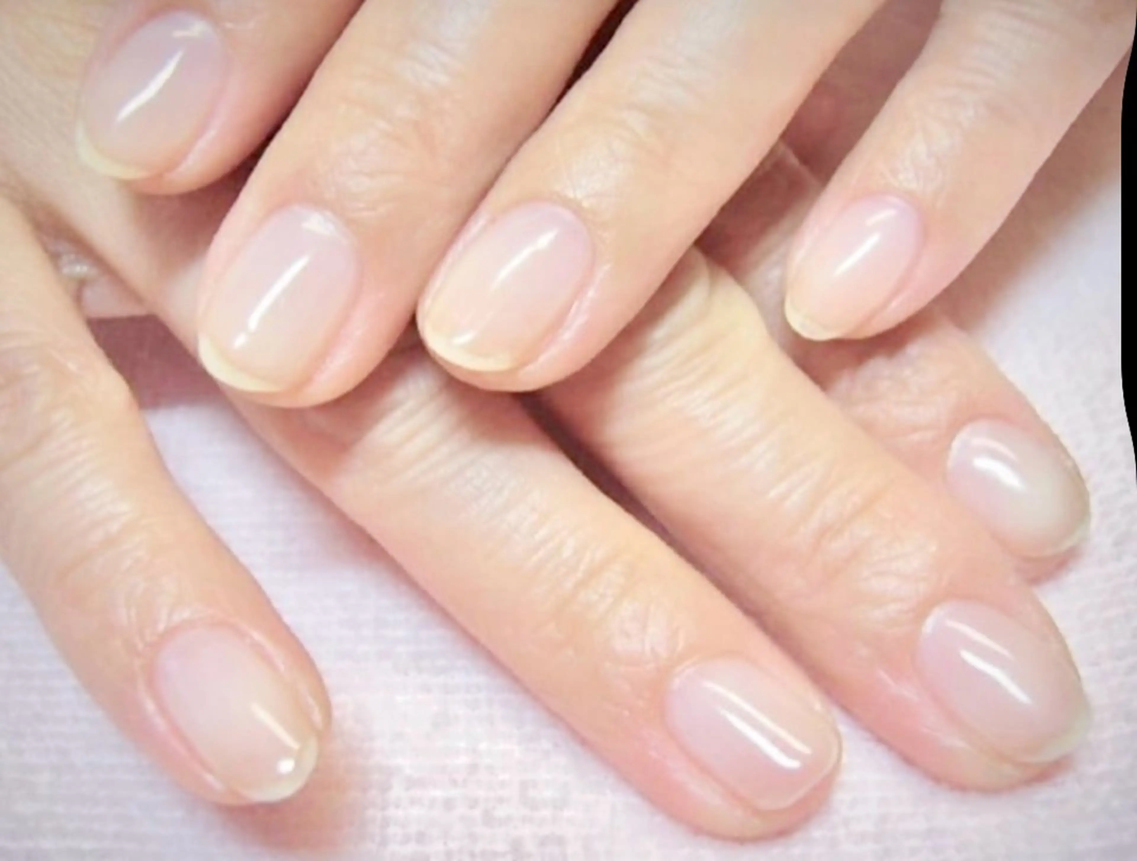 フローター(クリアジェル)の写真