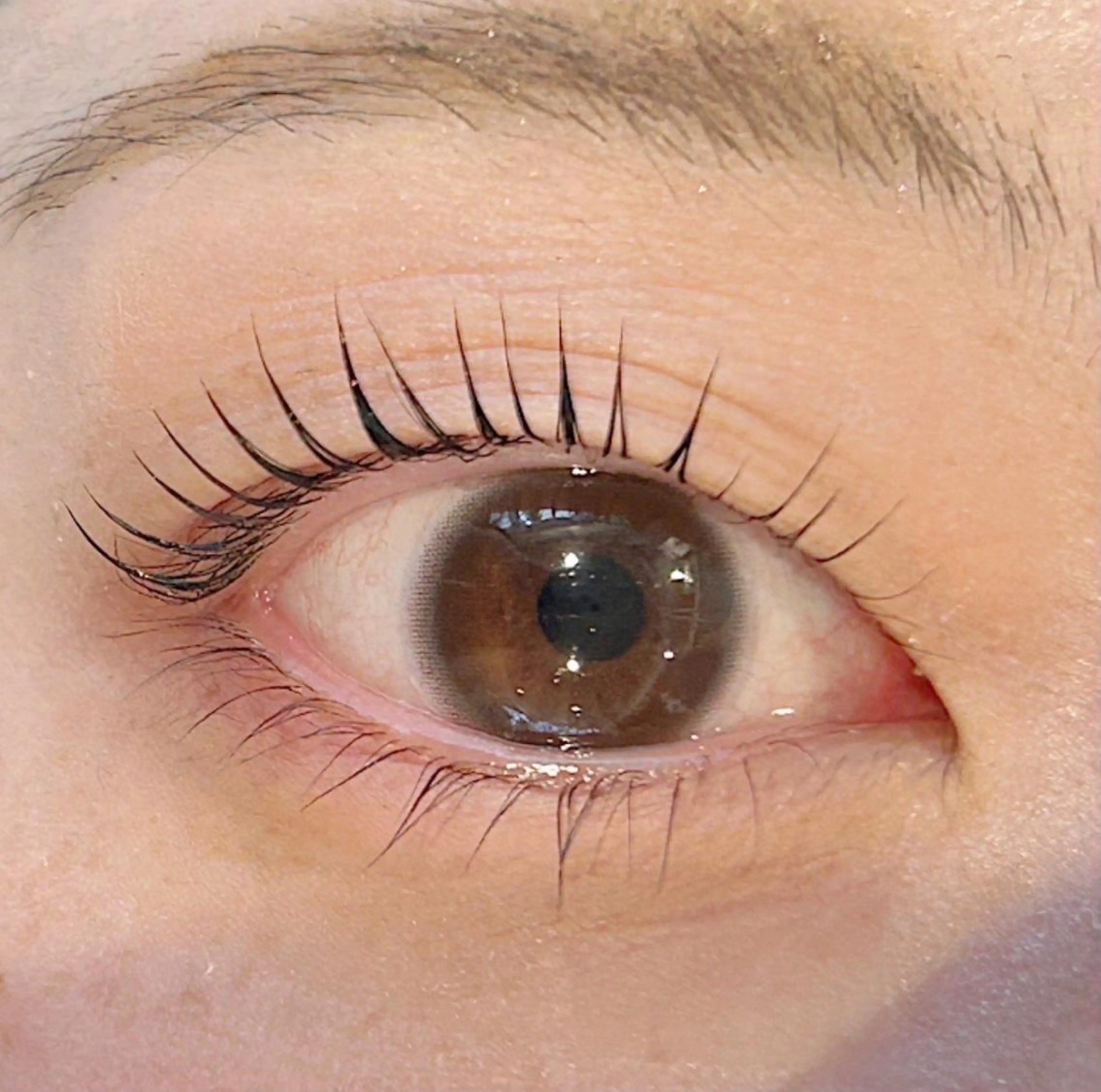 マツエク・マツパ 一重×まつ毛パーマ マツパ まつパ/束感マツエク 🧸suzunaのマツエク・マツパデザイン