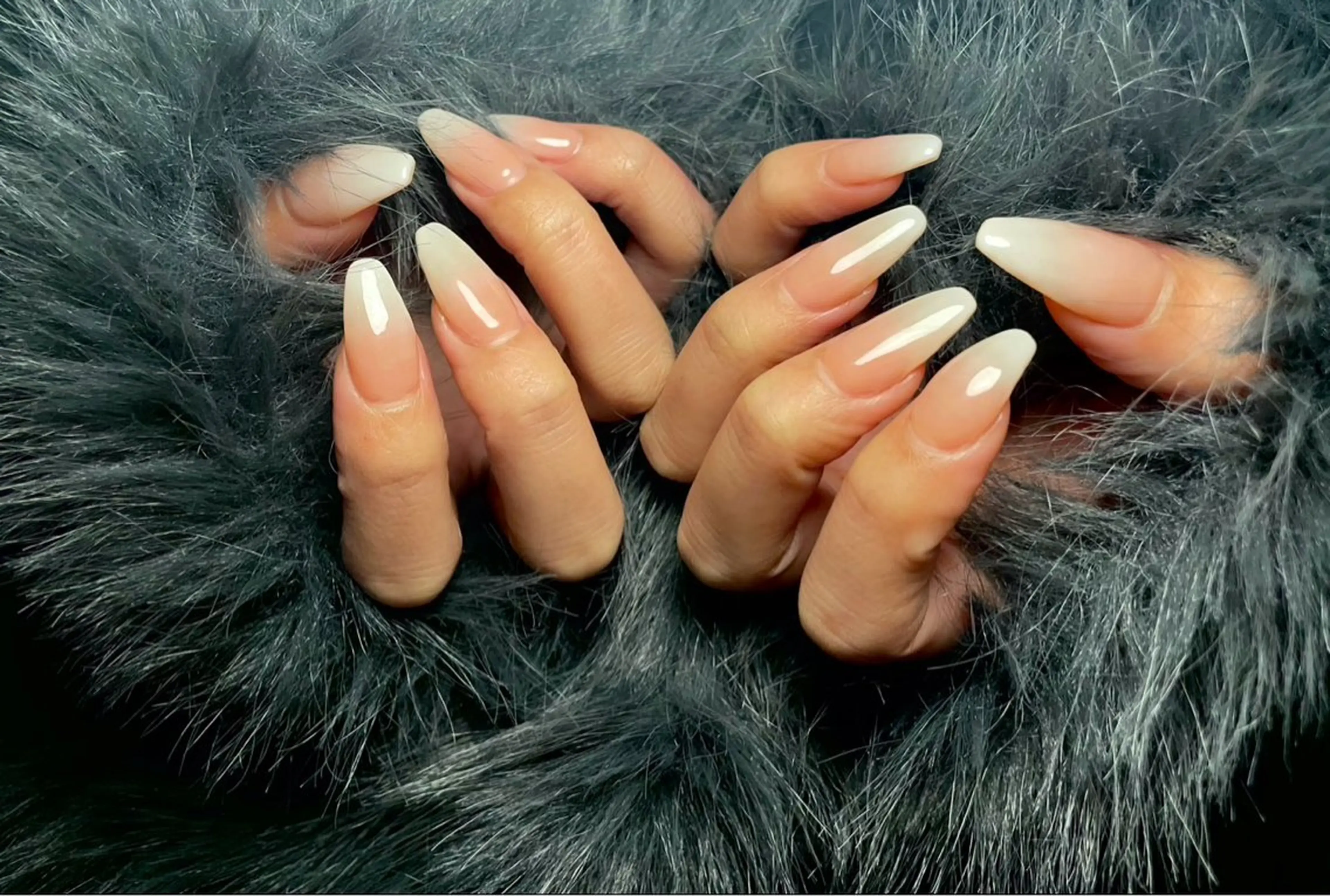 【オフあり】ベイビーブーマーの写真