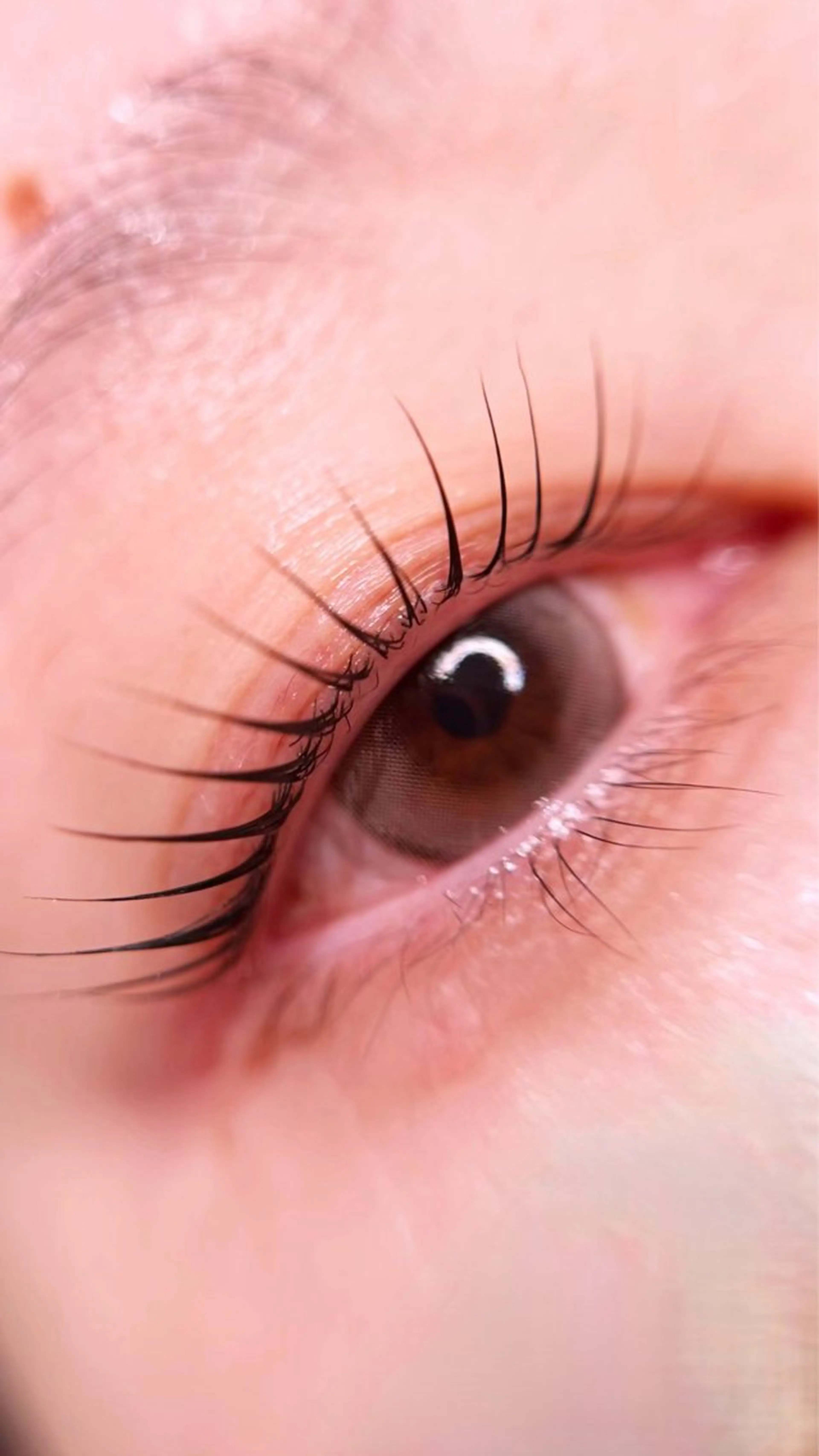 ✨大阪コンテストモデル募集✨【ラッシュリフト】の写真