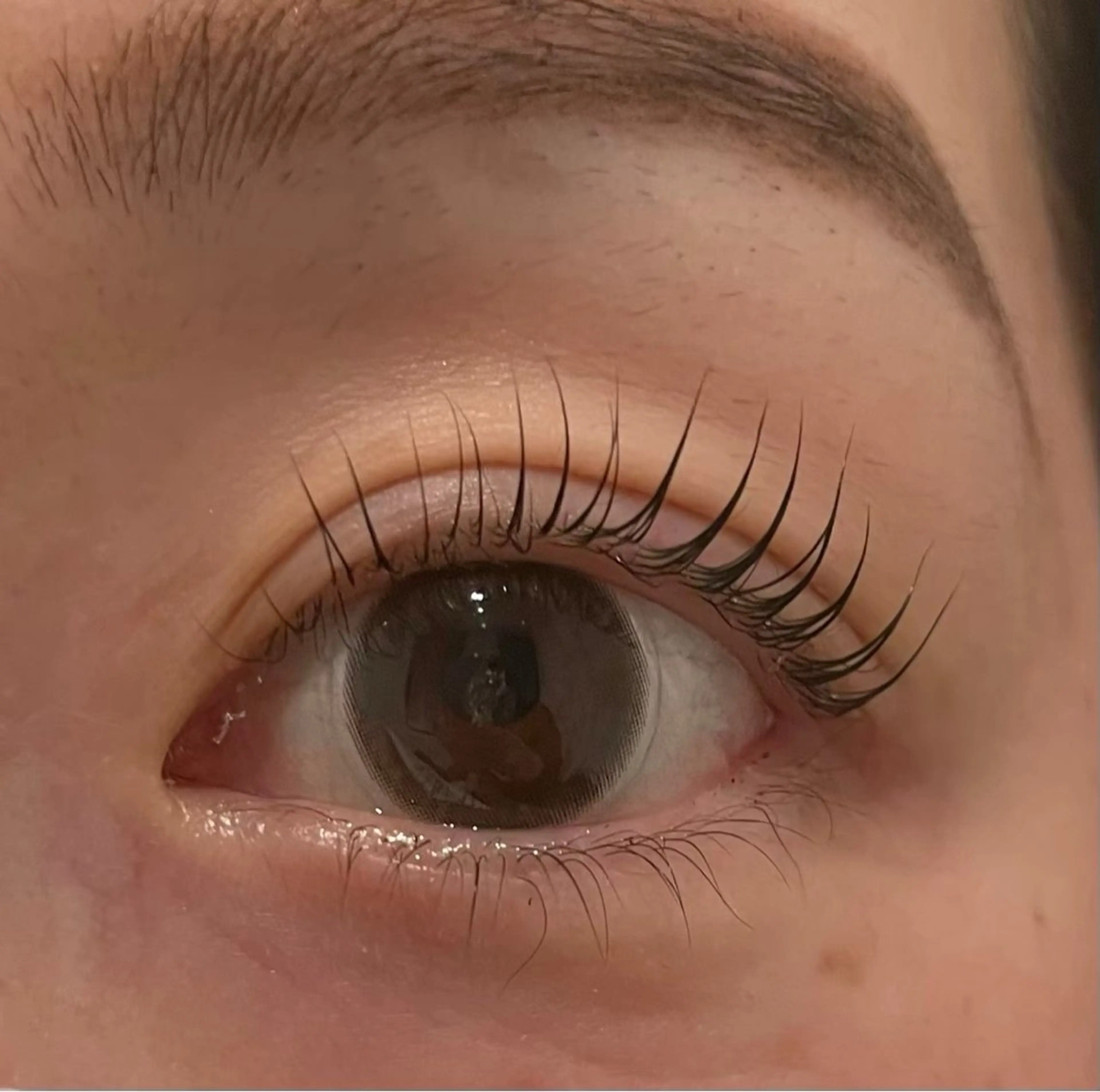 【minimo限定価格】パリジェンヌラッシュリフトの写真