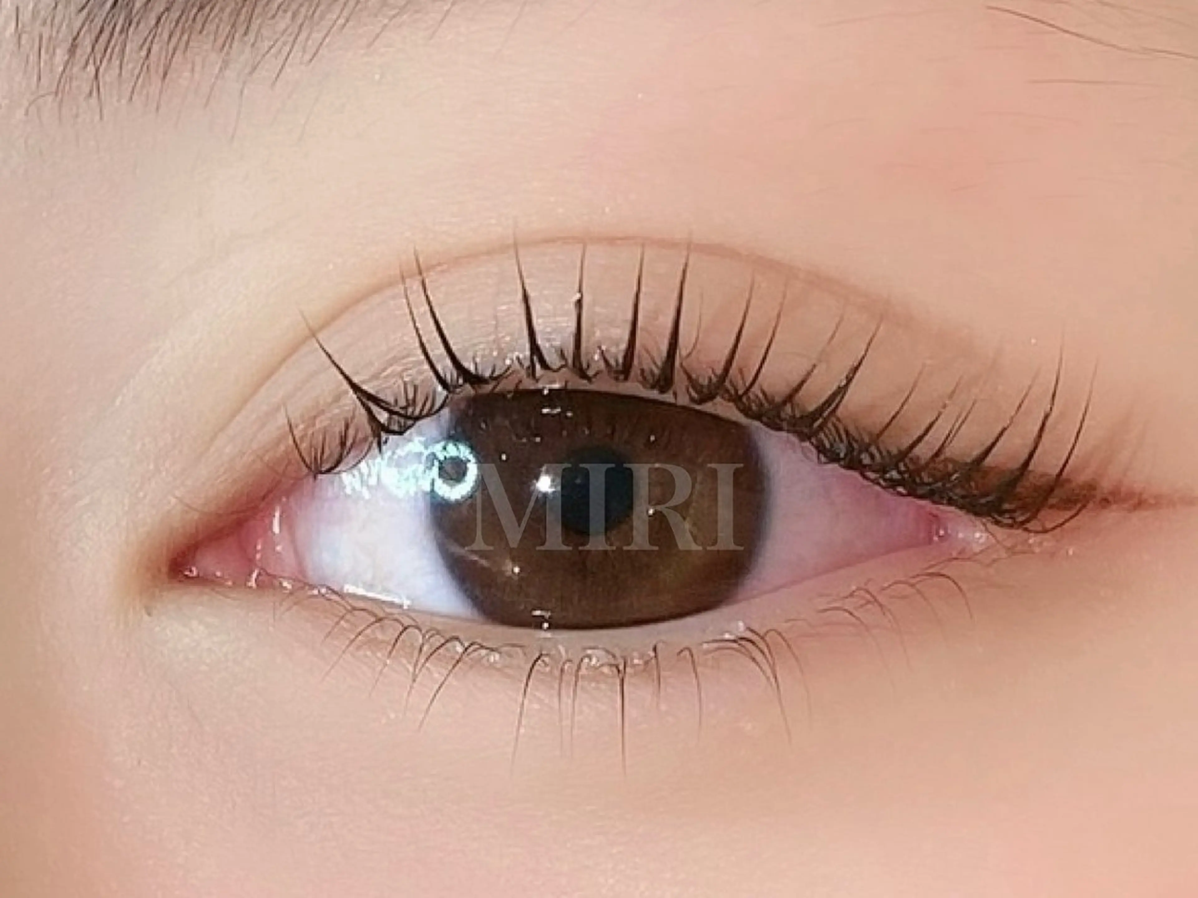 マツエク・マツパ マツパ 🌷まつ毛パーマ 専門店MIRI 🌷のマツエク・マツパデザイン