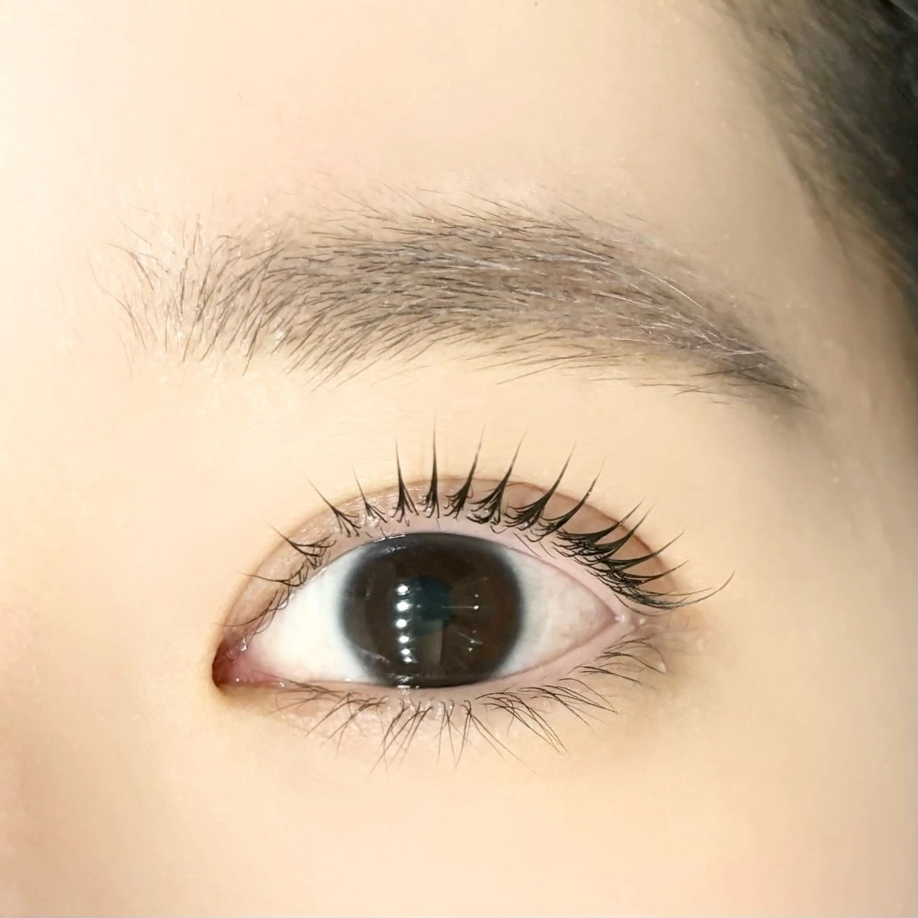 マツエク・マツパ 橘joieange 心斎橋店のマツエク・マツパデザイン