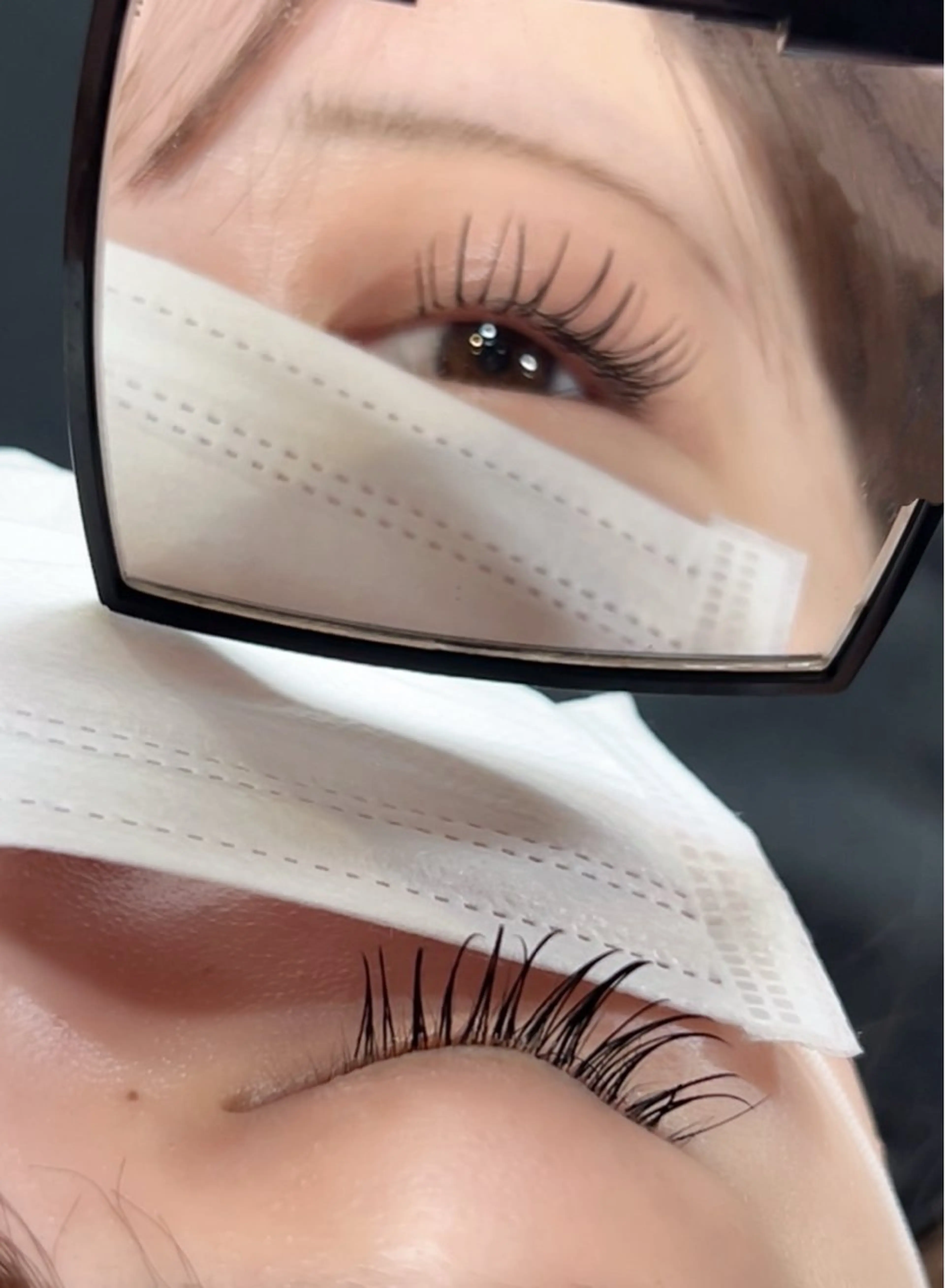 フラットラッシュ 100本(ブラック)の写真