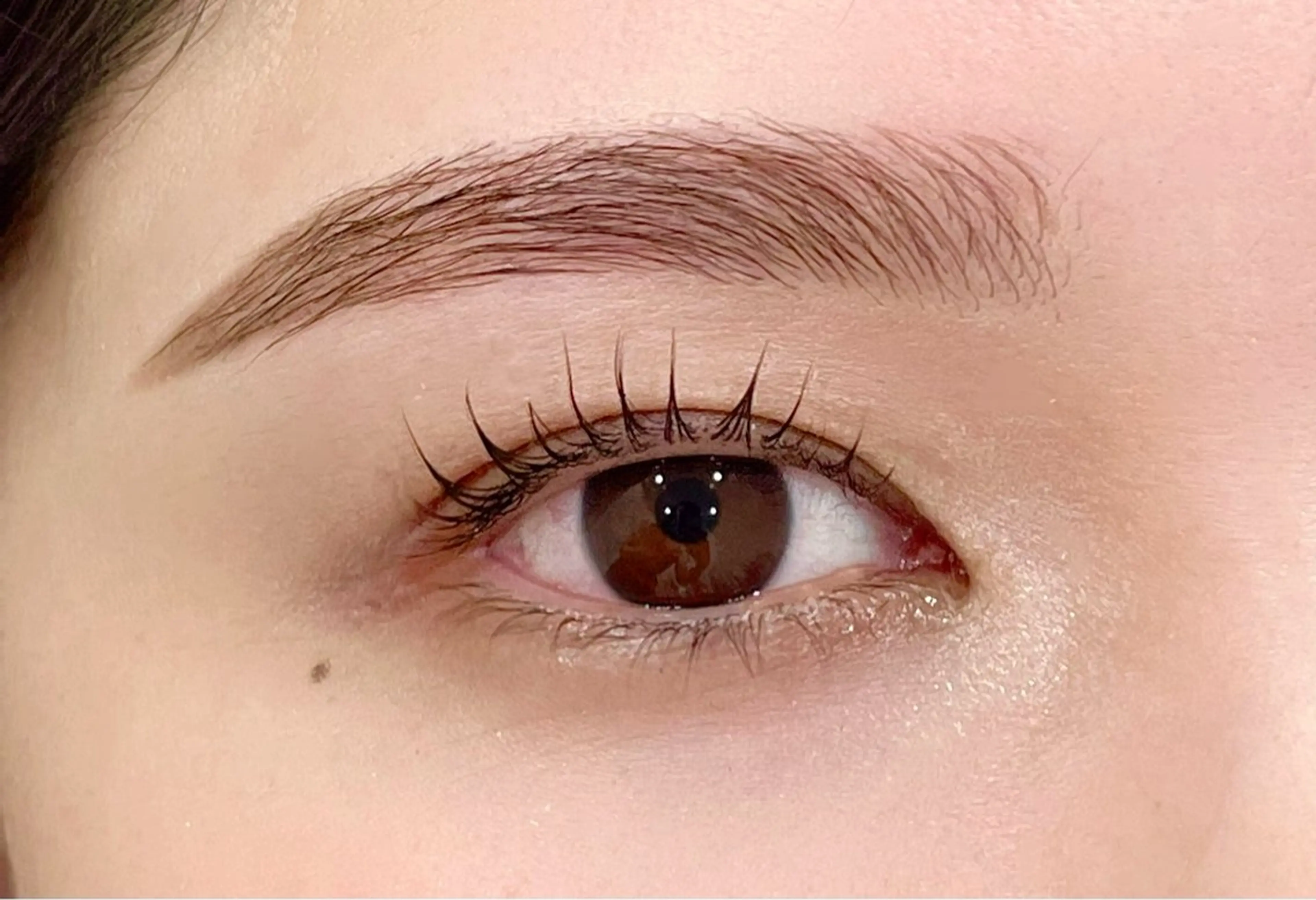 ✨ミニモ限定価格✨『眉毛SETメニュー』似合わまつ毛パーマ上＋ハリウッドブロウ🤍の写真