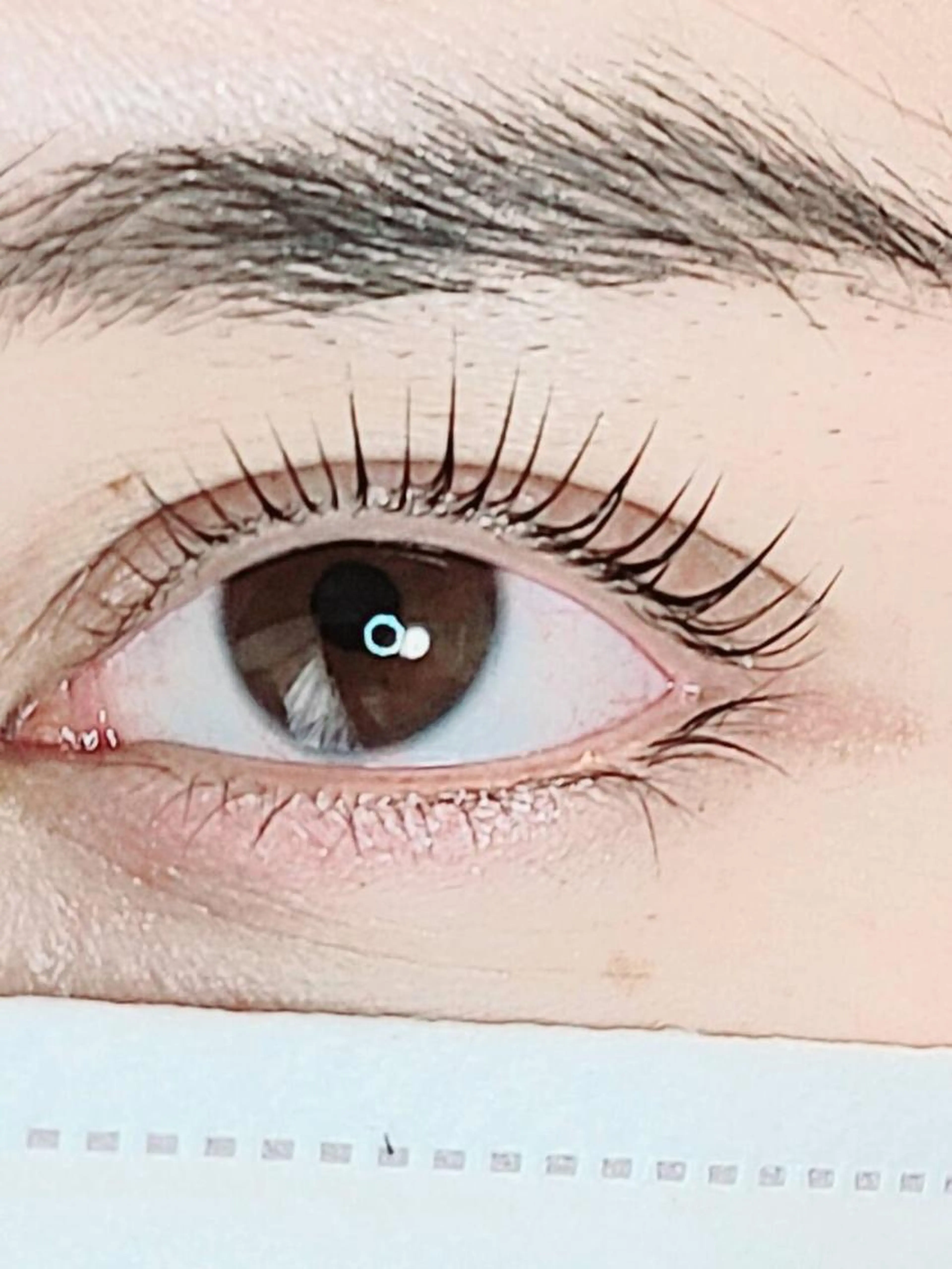 パリジェンヌリフトの写真