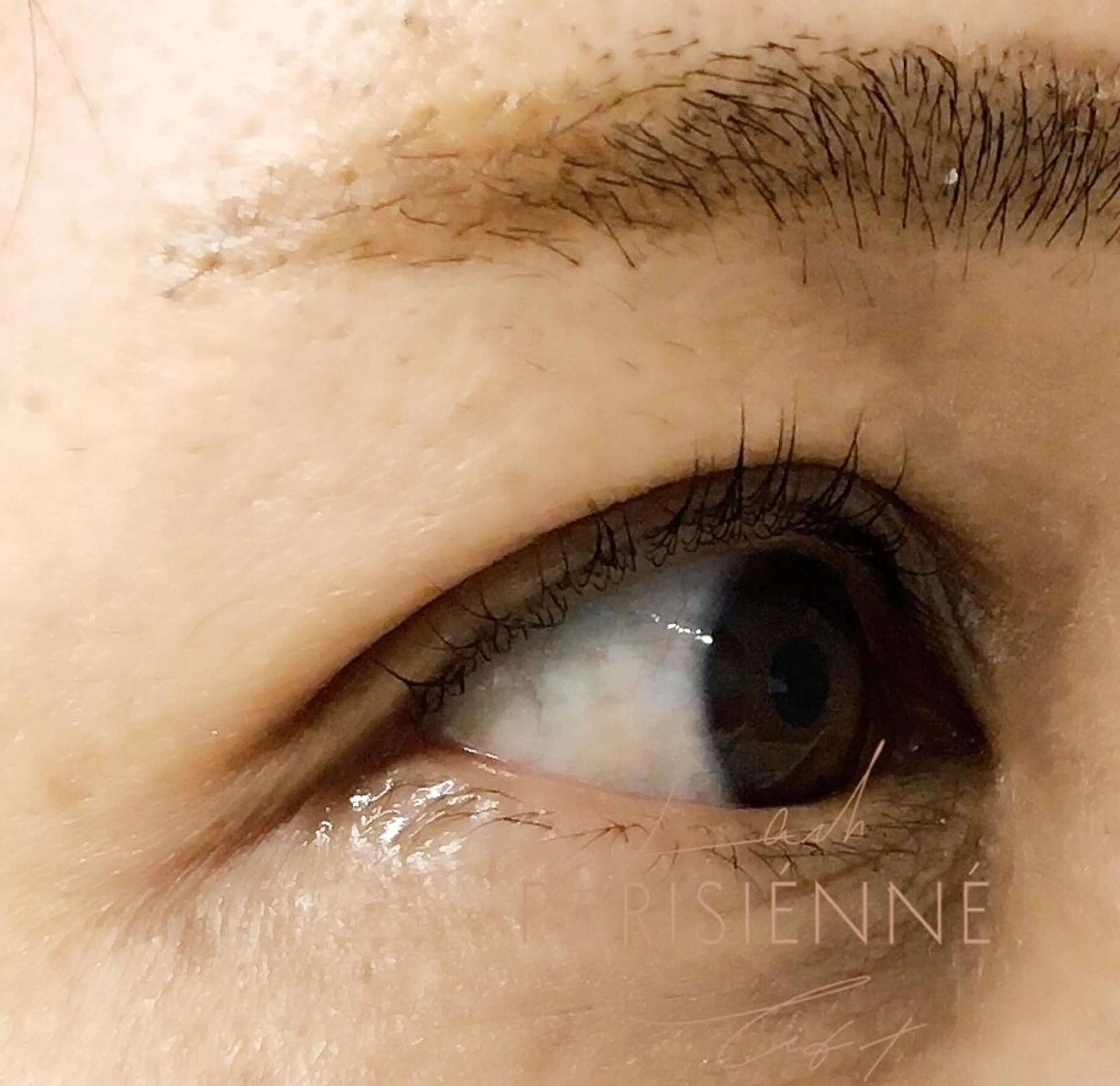 マツエク・マツパ パリジェンヌラッシュリフト ma-pa所属・ma-pa eye＆hairのマツエク・マツパデザイン