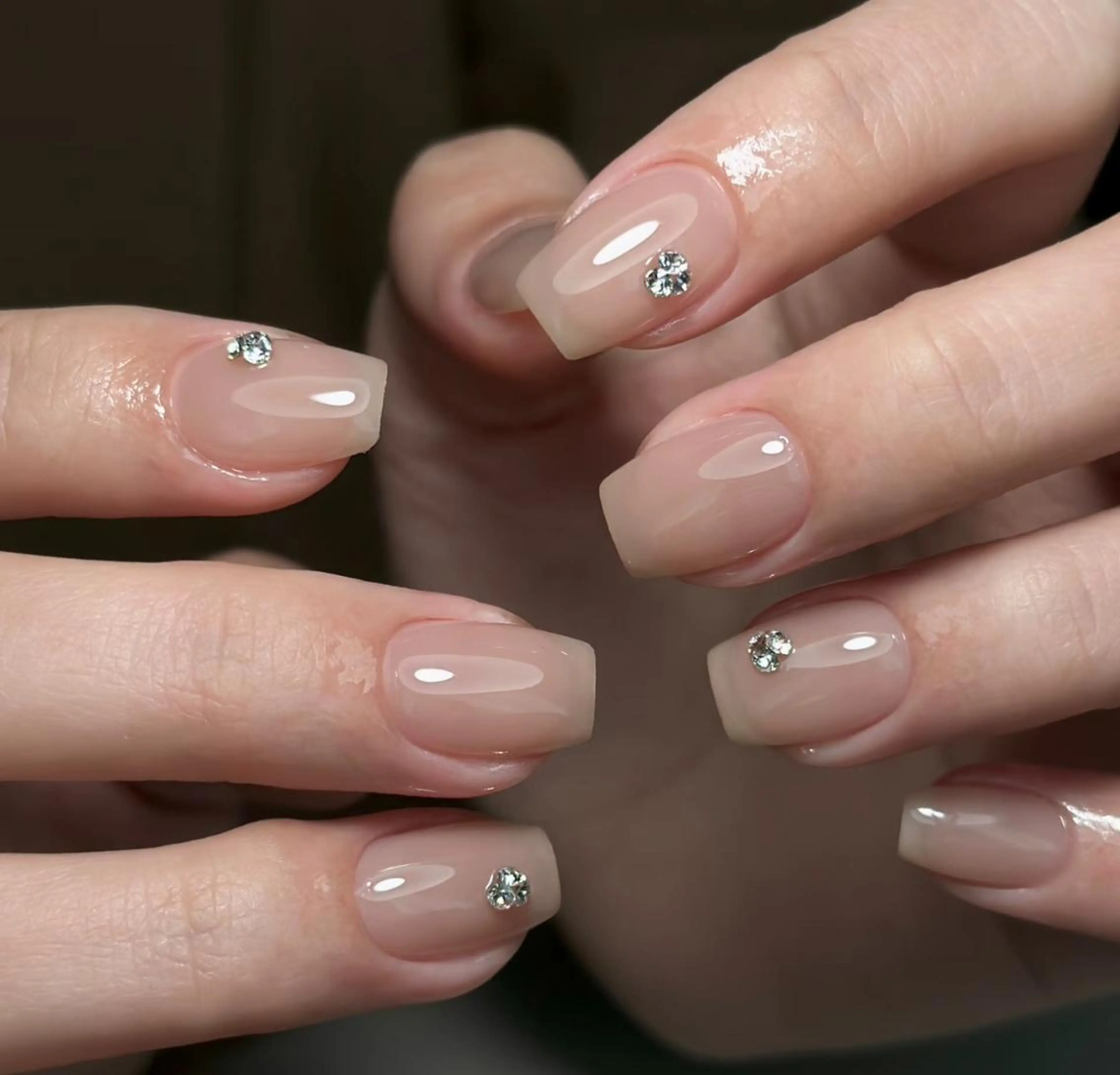 ワンカラーの写真