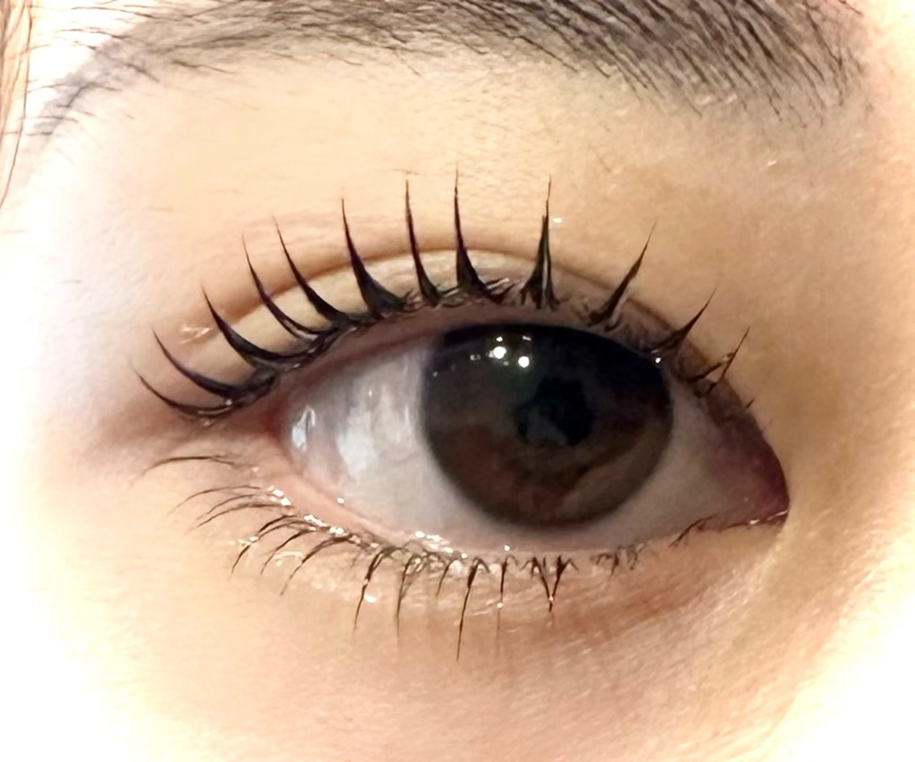 マツエク・マツパ dearbeauty plusのマツエク・マツパデザイン