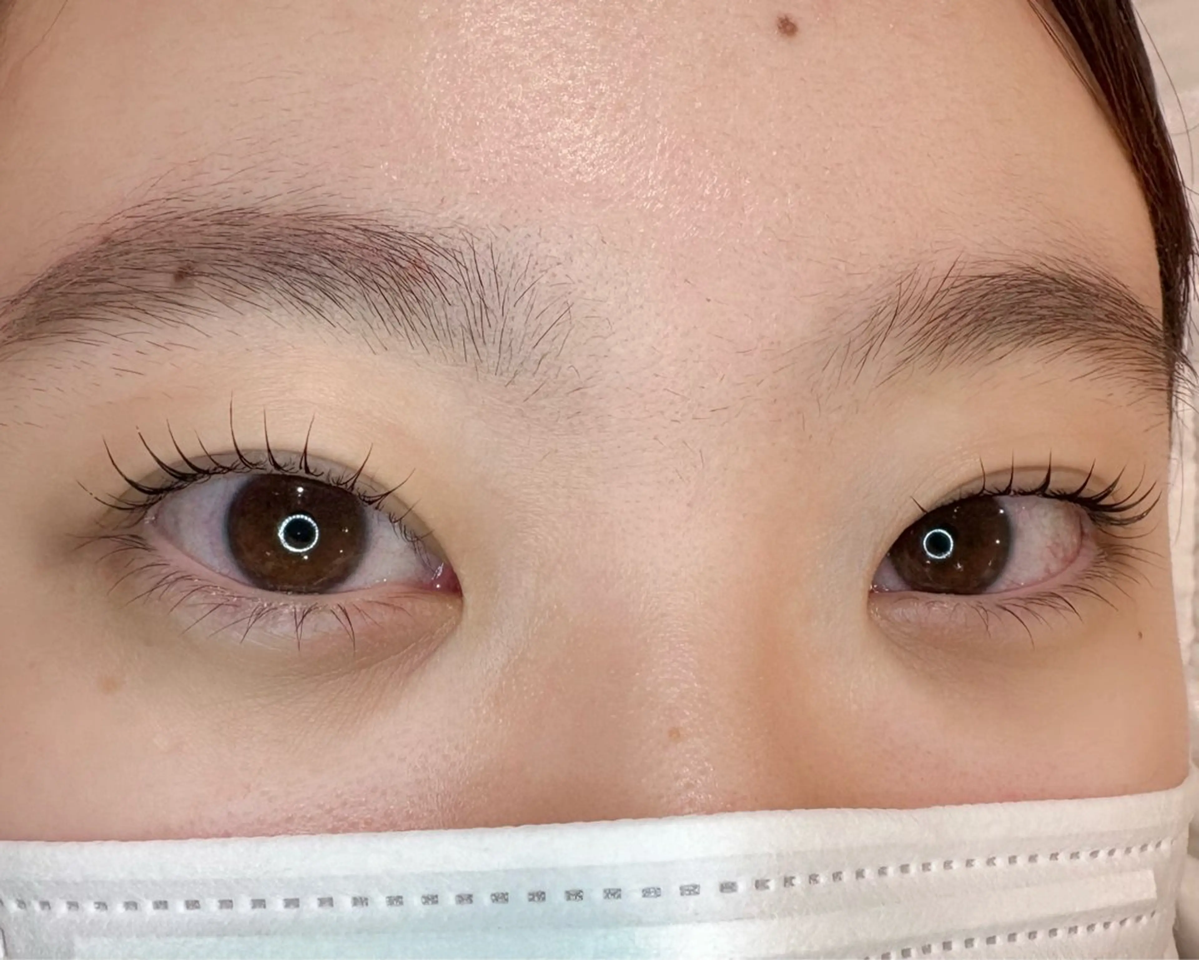 初回まつ毛パーマ(ロッド式)の写真