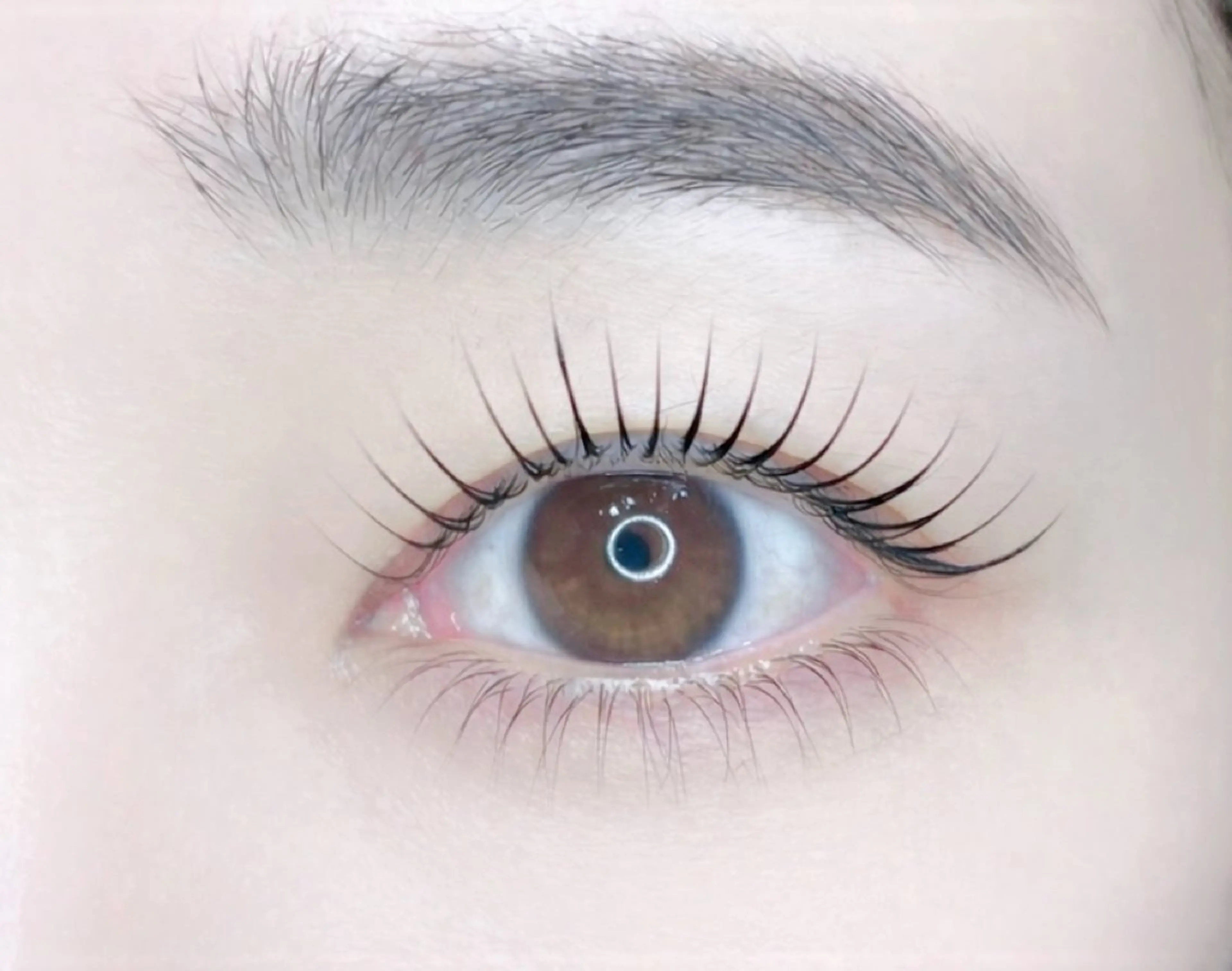 フラットラッシュ140本(アイシャンプー付) ★brown+500円★w flat+1000円の写真