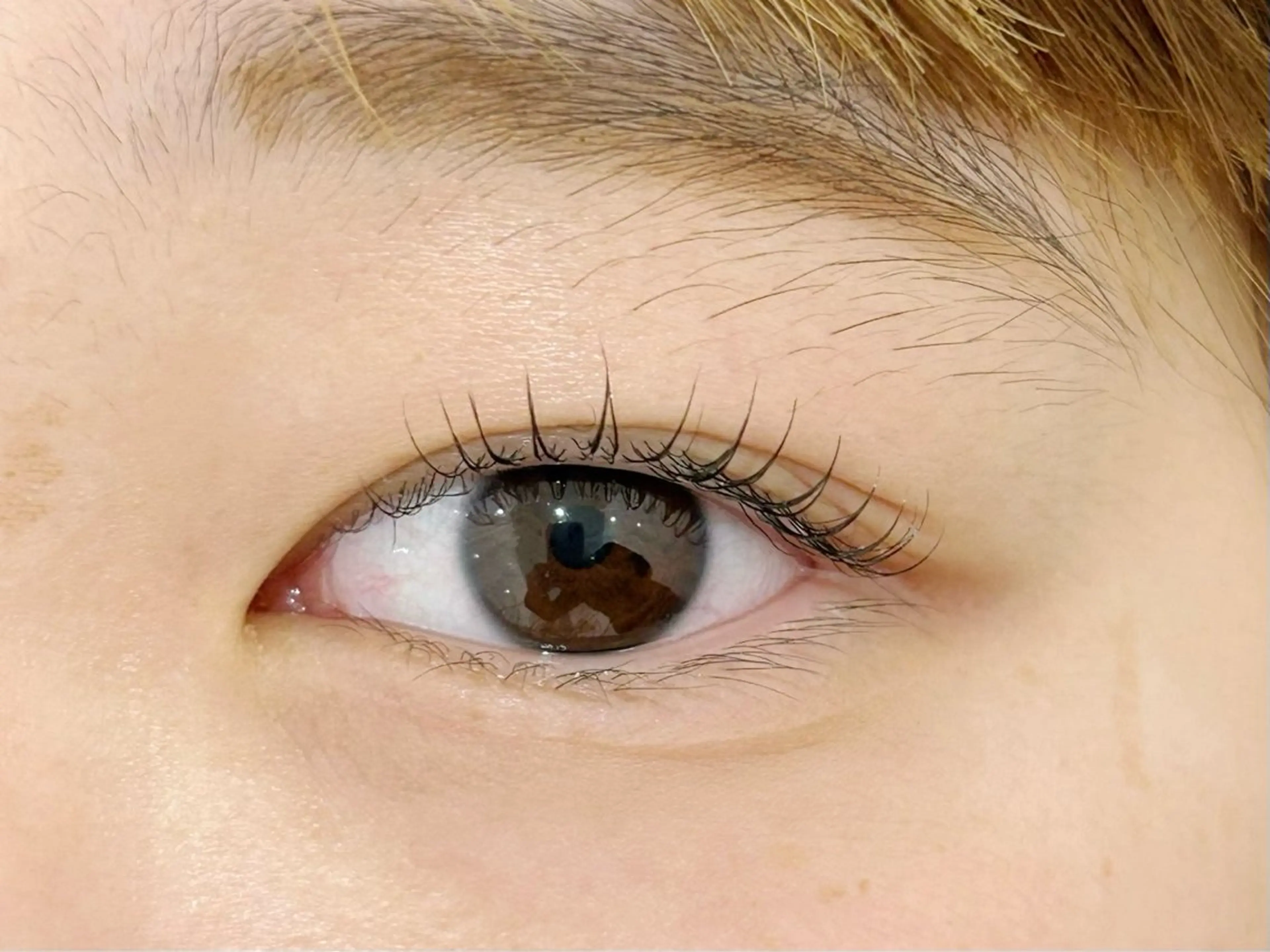 マツエク・マツパ eL 田中のマツエク・マツパデザイン