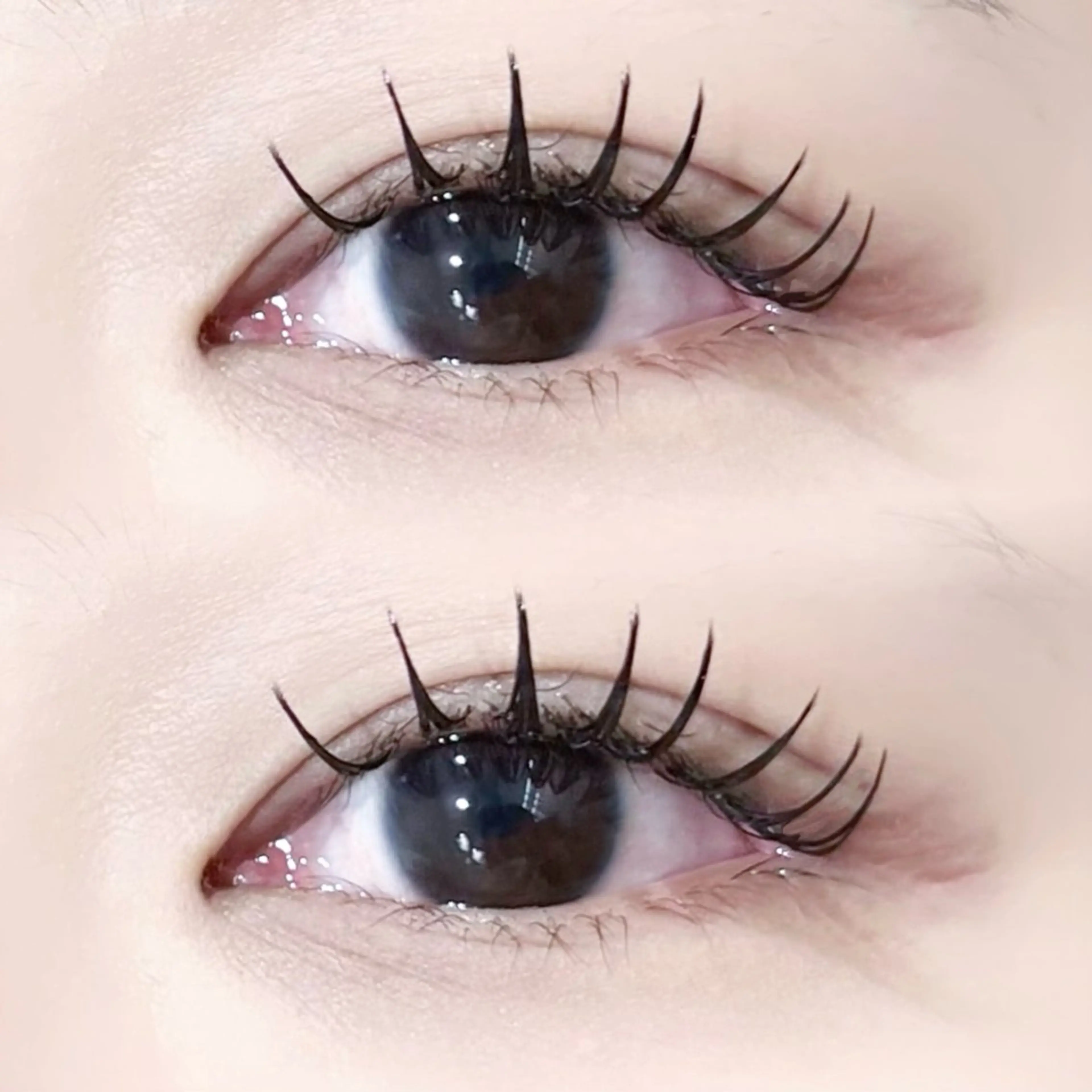 マツエク・マツパ フラットラッシュ 🤍𐙚KONOHO 束感まつ毛𐙚🤍のマツエク・マツパデザイン