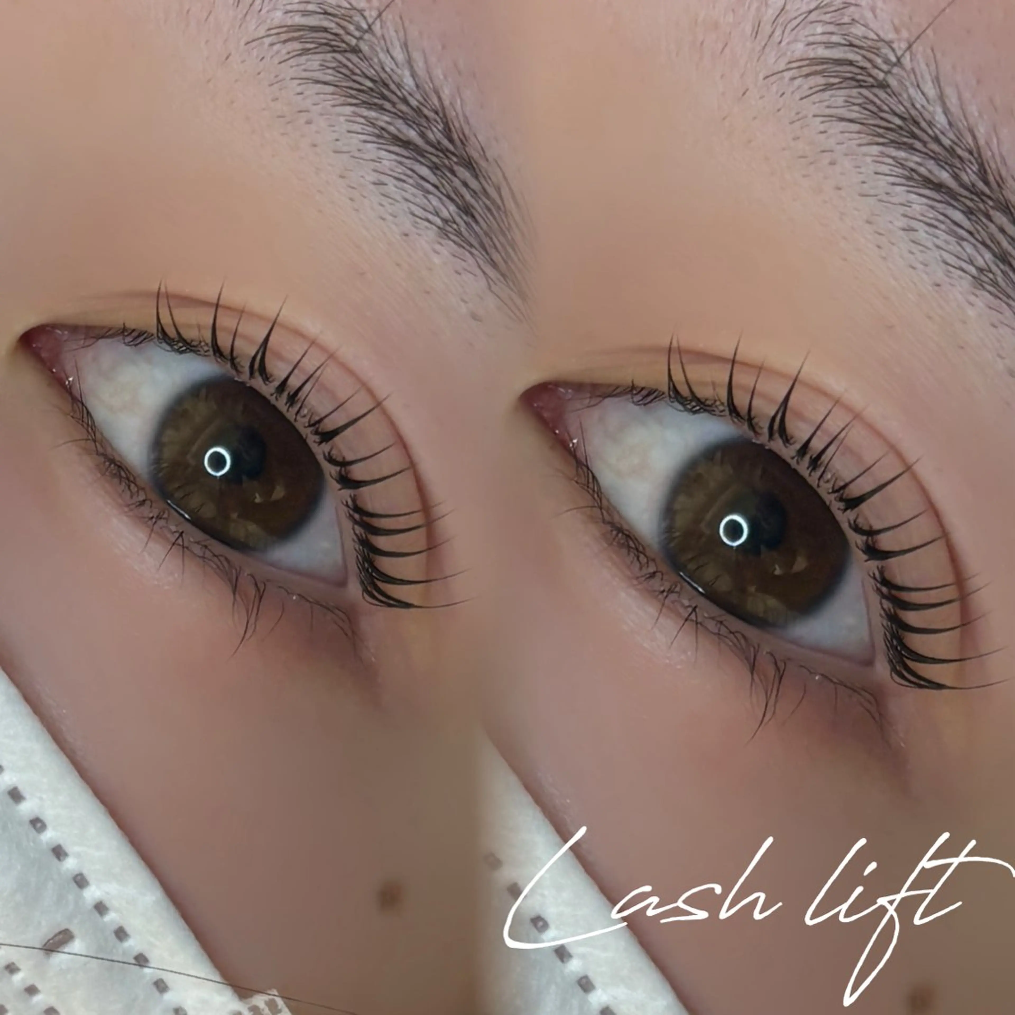 マツエク・マツパ ナチュラル マツパ Miyu🦋 【Angelica】のマツエク・マツパデザイン