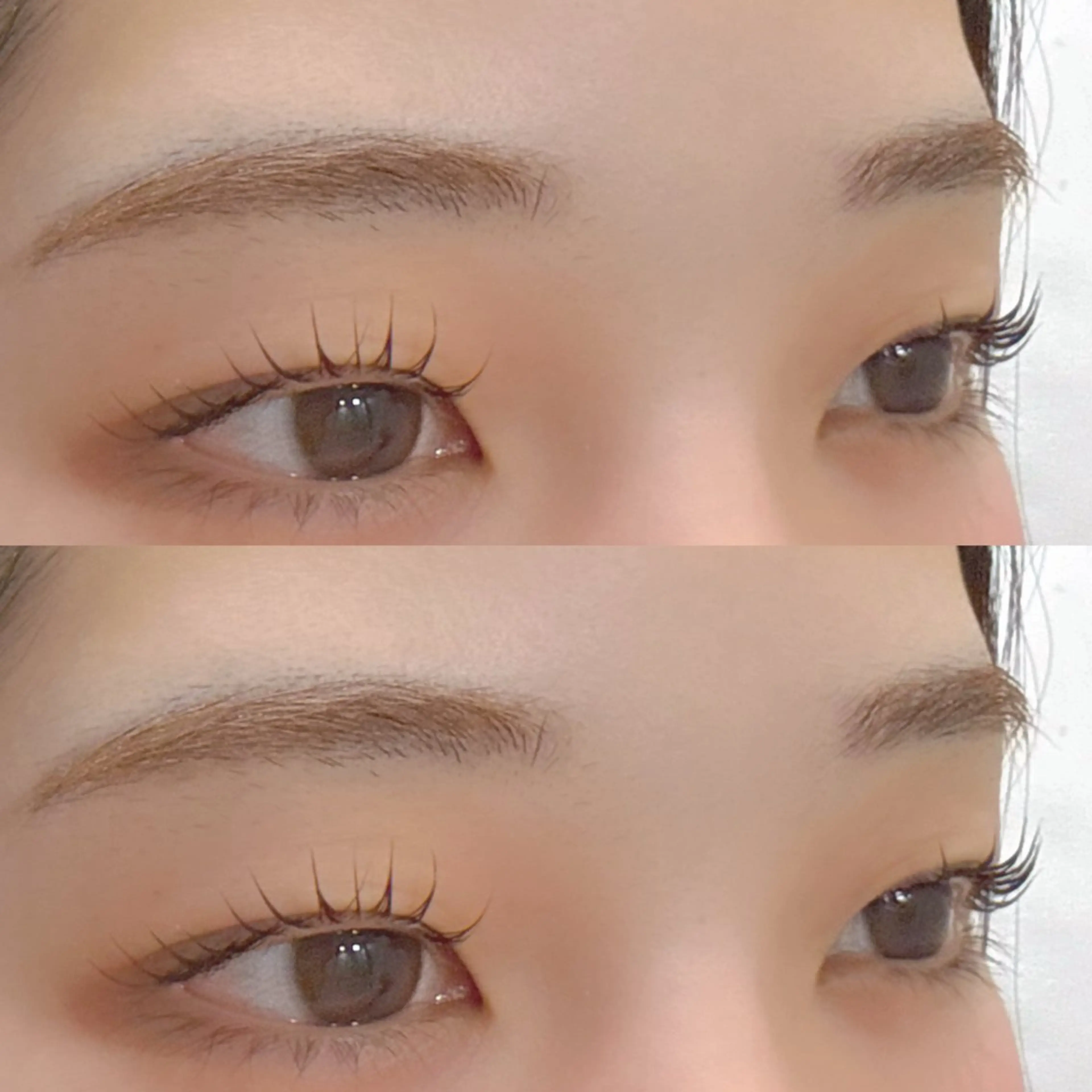 ご新規様当日限定破格クーポン✨まつげパーマ🎀【アイシャンプー付🧴】コーティング込¥3850の写真