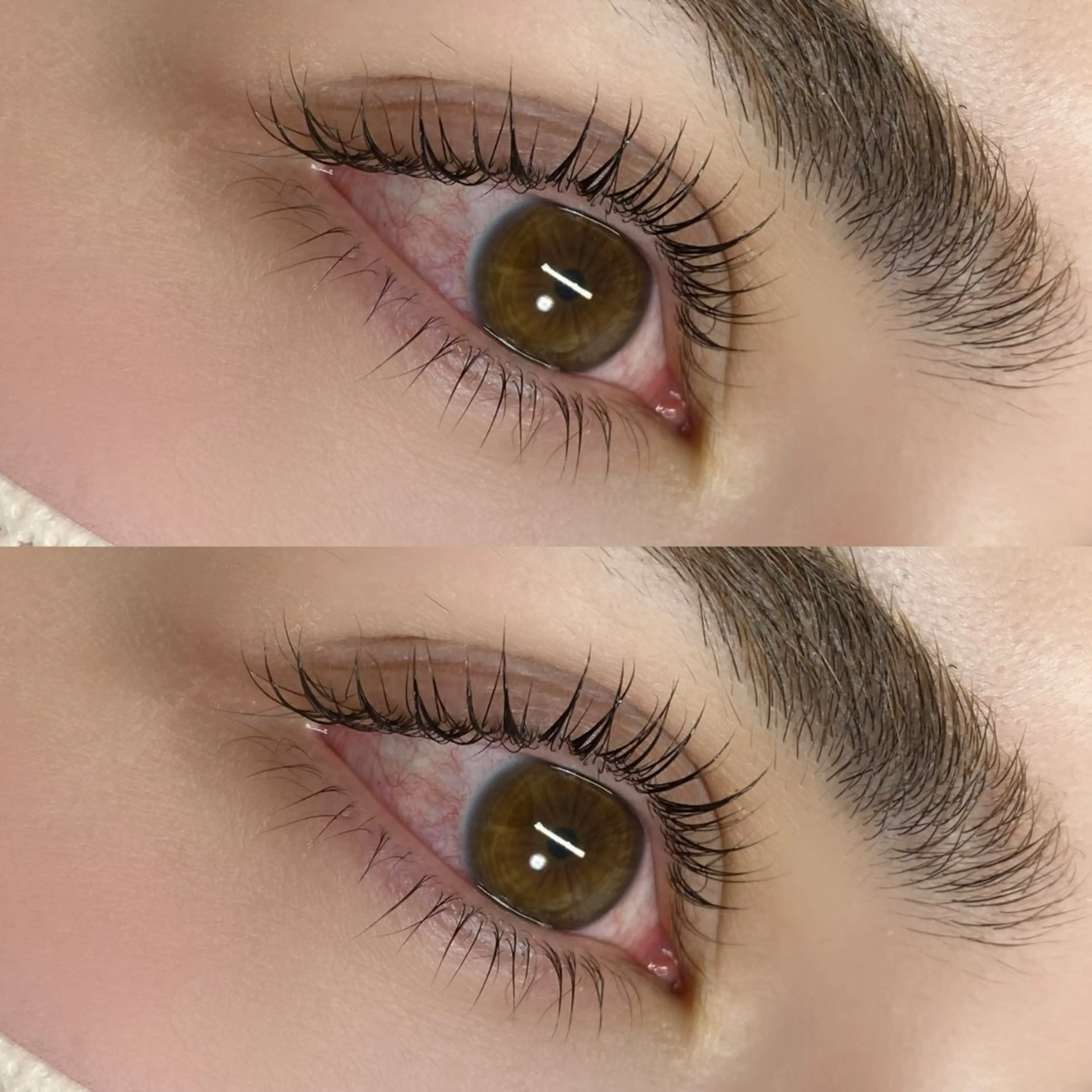 上下ラッシュリフト (まつパ)の写真