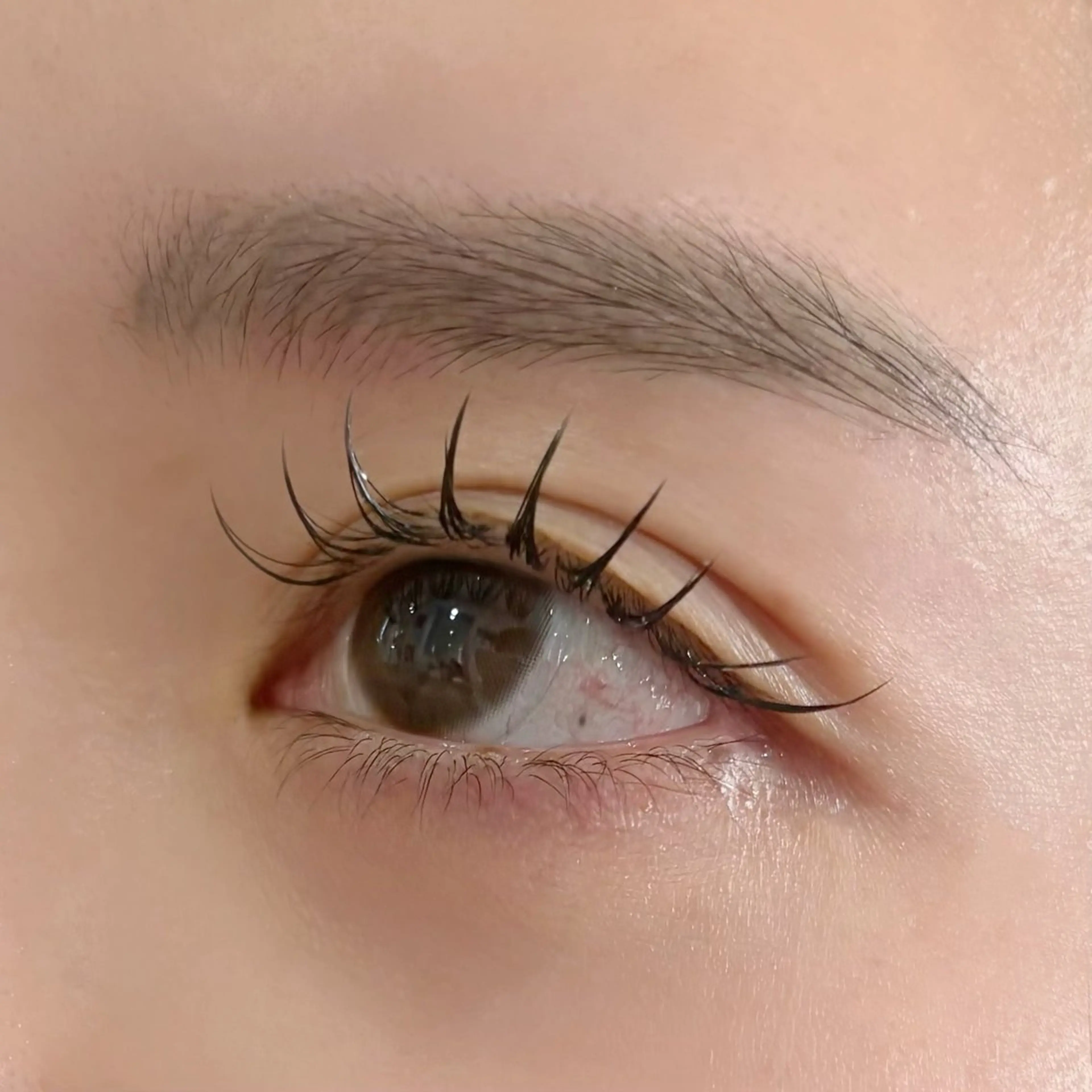 まつ毛エクステ100本🫧の写真