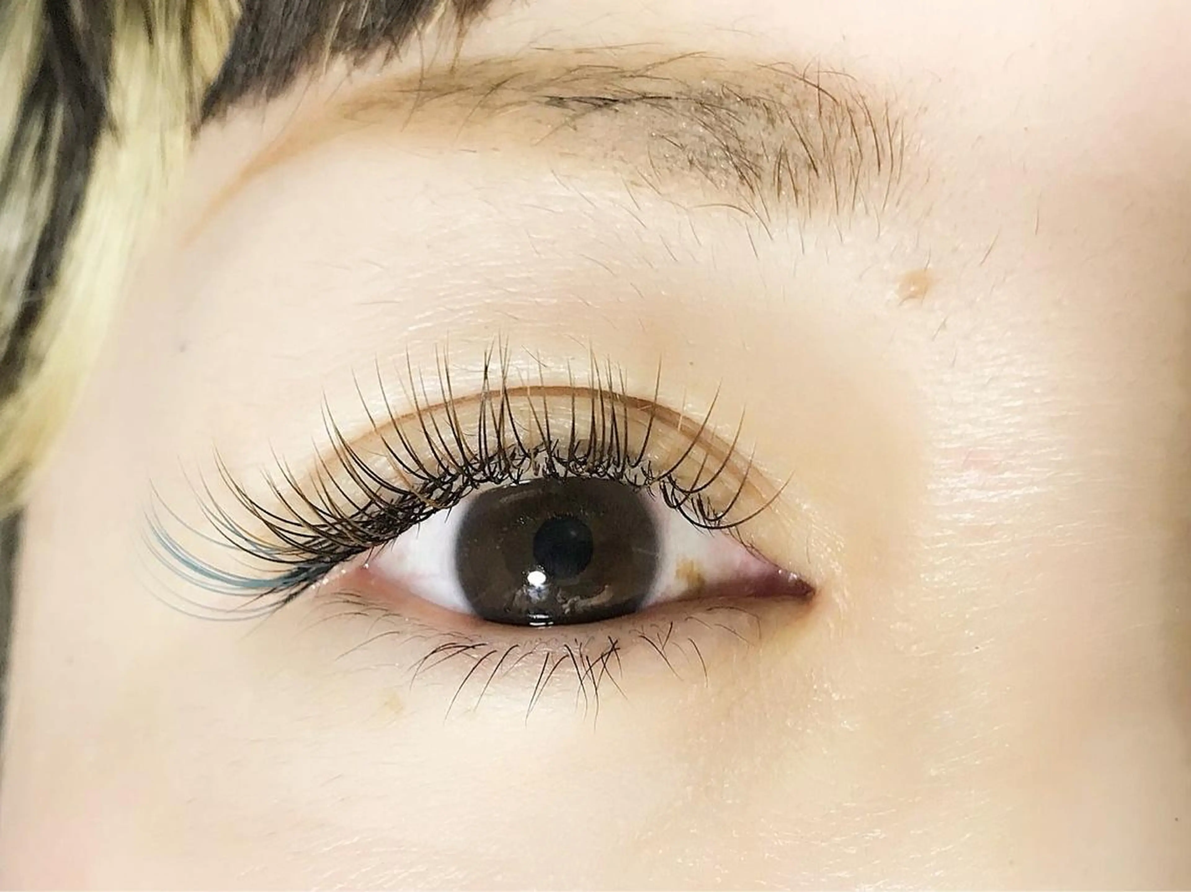 マツエク・マツパ マツエク JASMINE 小橋 愛のマツエク・マツパデザイン