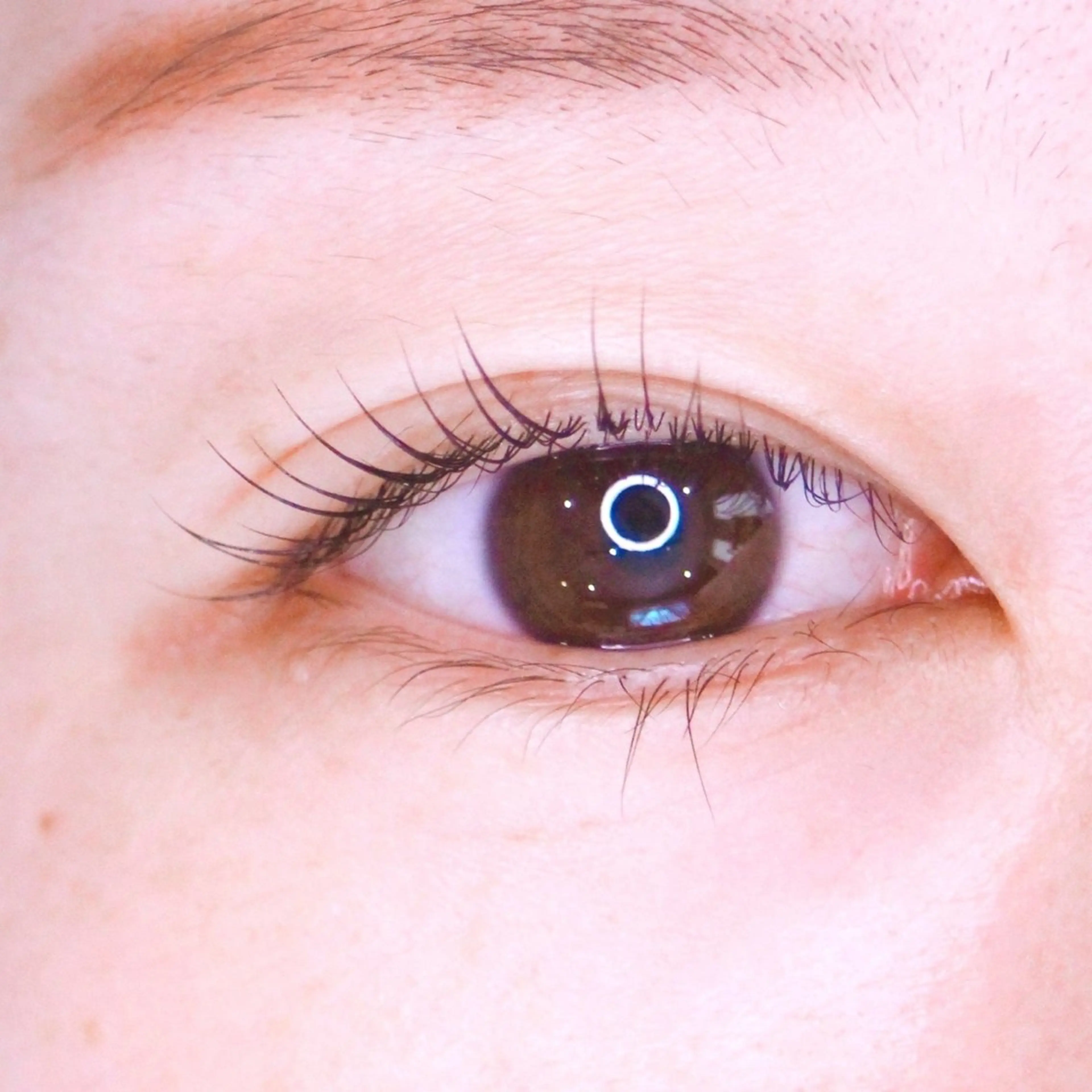 マツエク・マツパ Feather MAIのマツエク・マツパデザイン