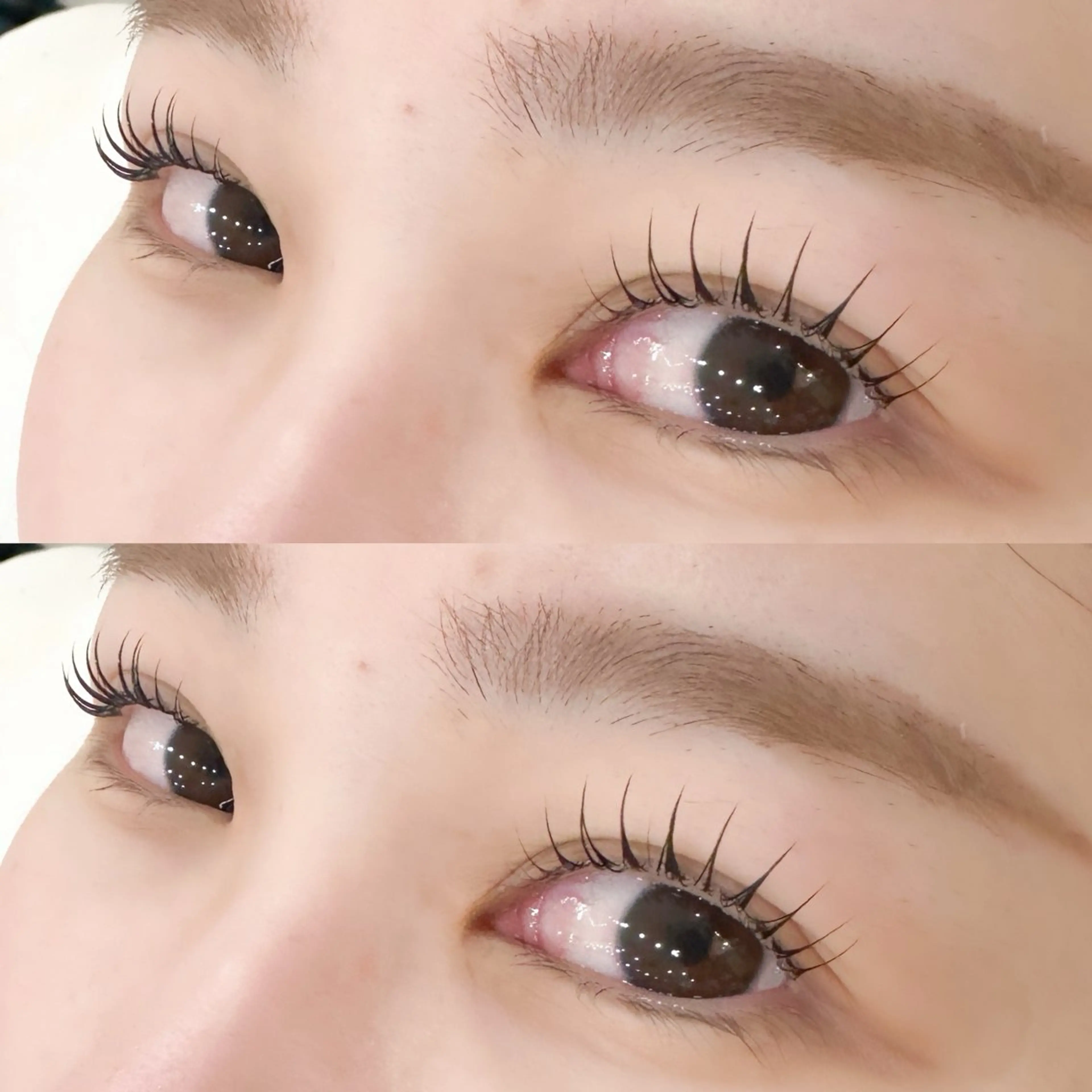 マツエク・マツパ マリーテレジア‎🩵 Maeokaのマツエク・マツパデザイン