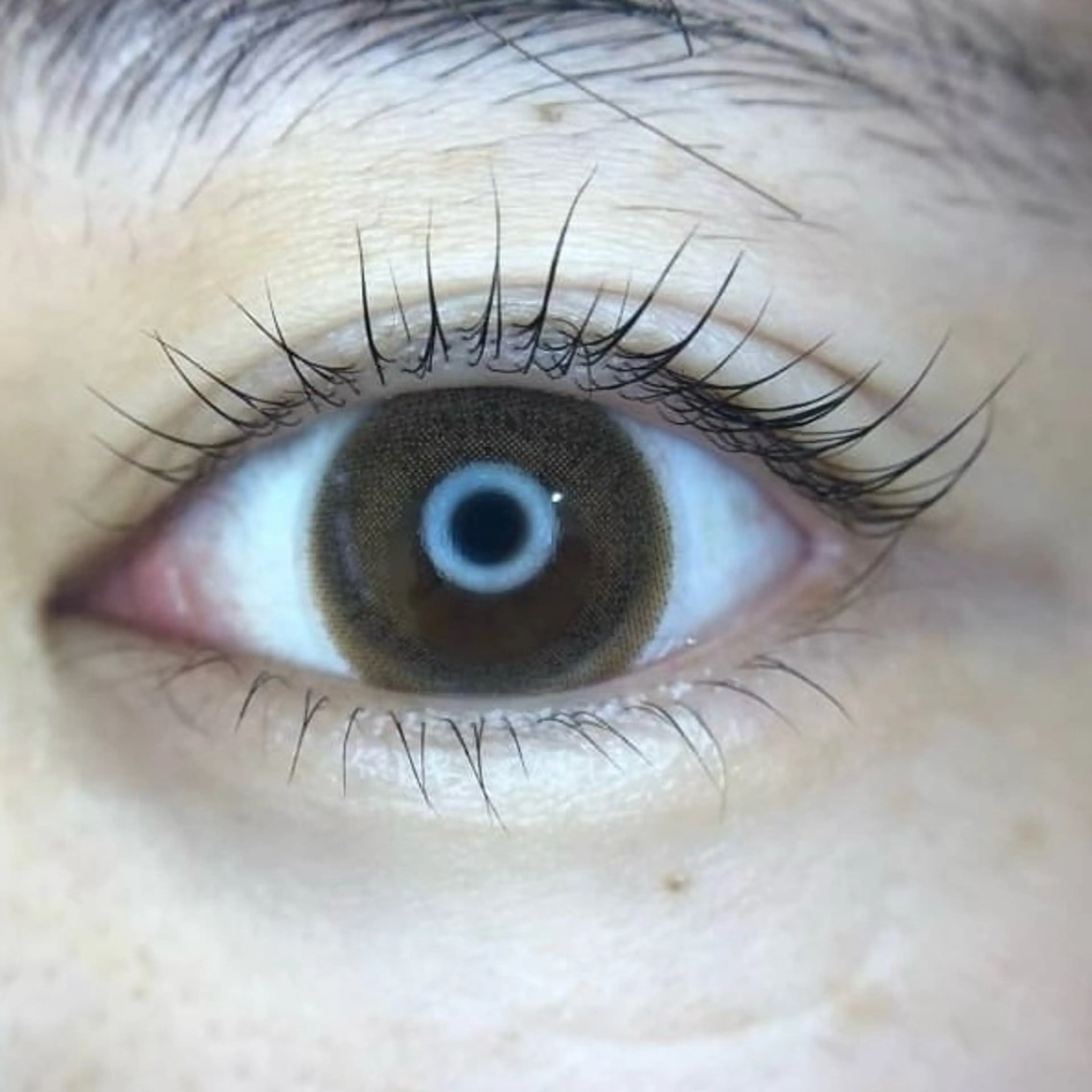 マツエク・マツパ パリジェンヌラッシュリフト 一重×まつ毛パーマ メゾンドシャルム NISHIKAWAのマツエク・マツパデザイン