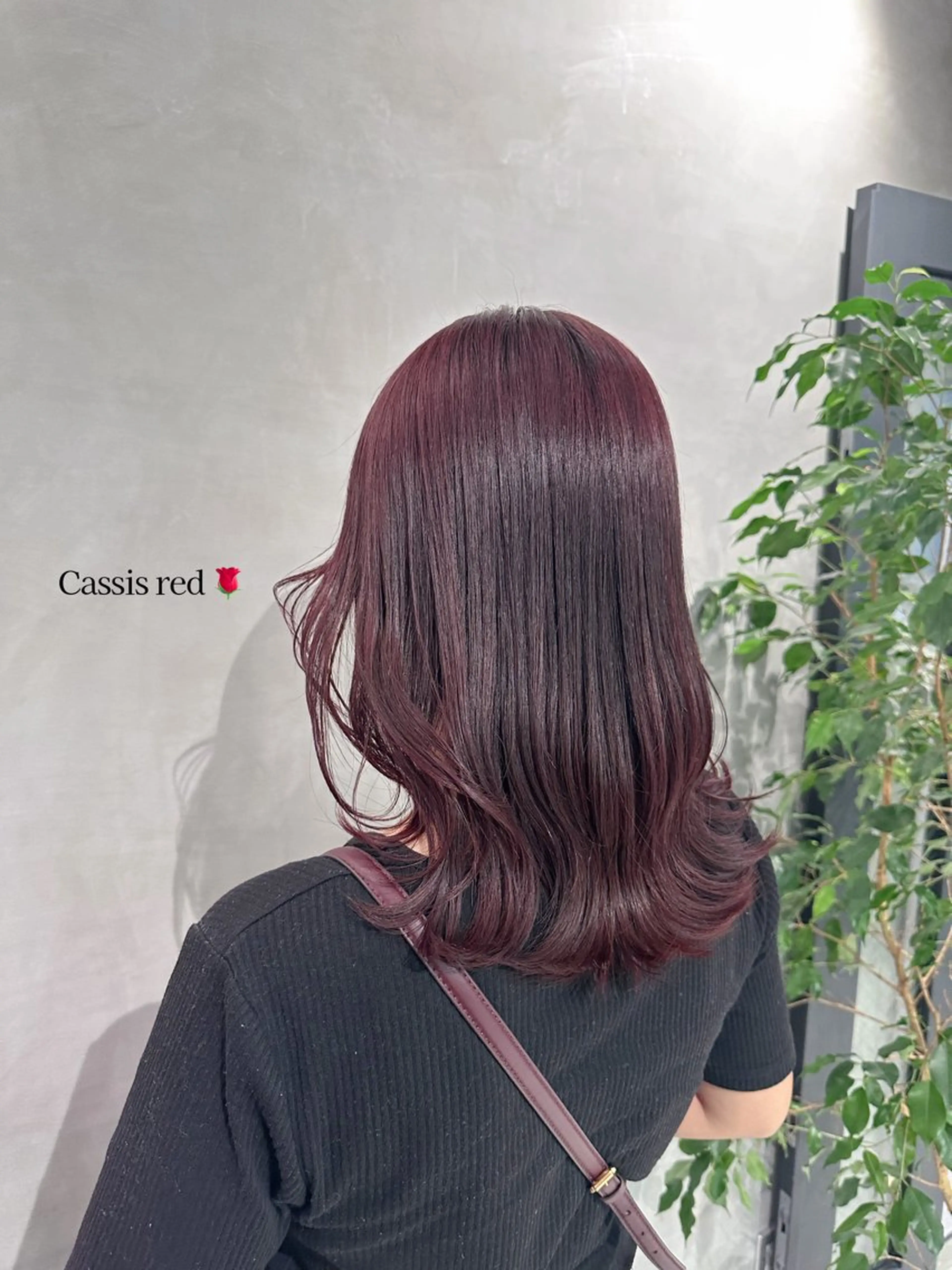 ミディアム カラー 銀座レイヤーカット ×シースルー前髪のヘアスタイル