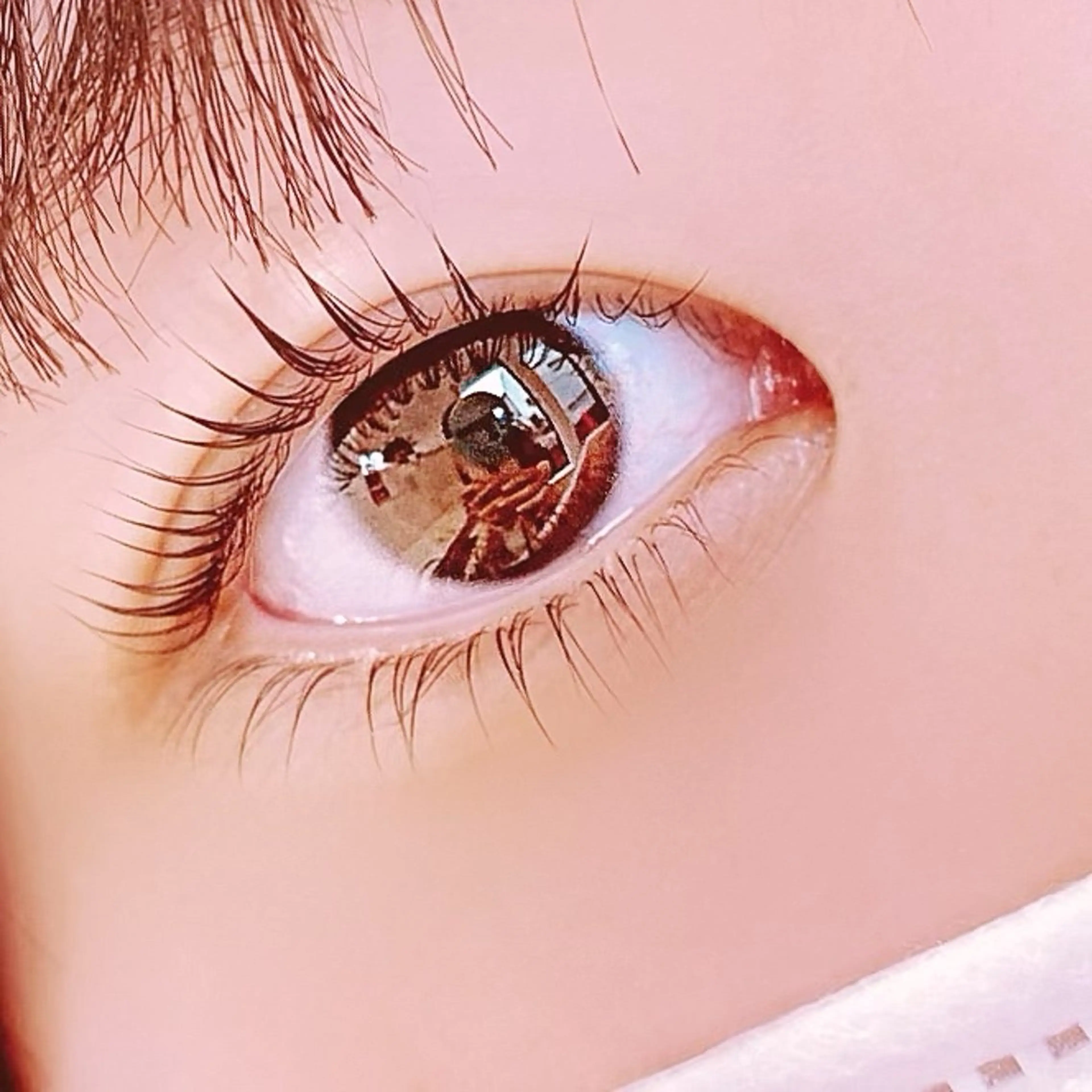 【高持続トリートメント付き】上下まつげパーマ／ラッシュリフト ¥9900→¥8800の写真