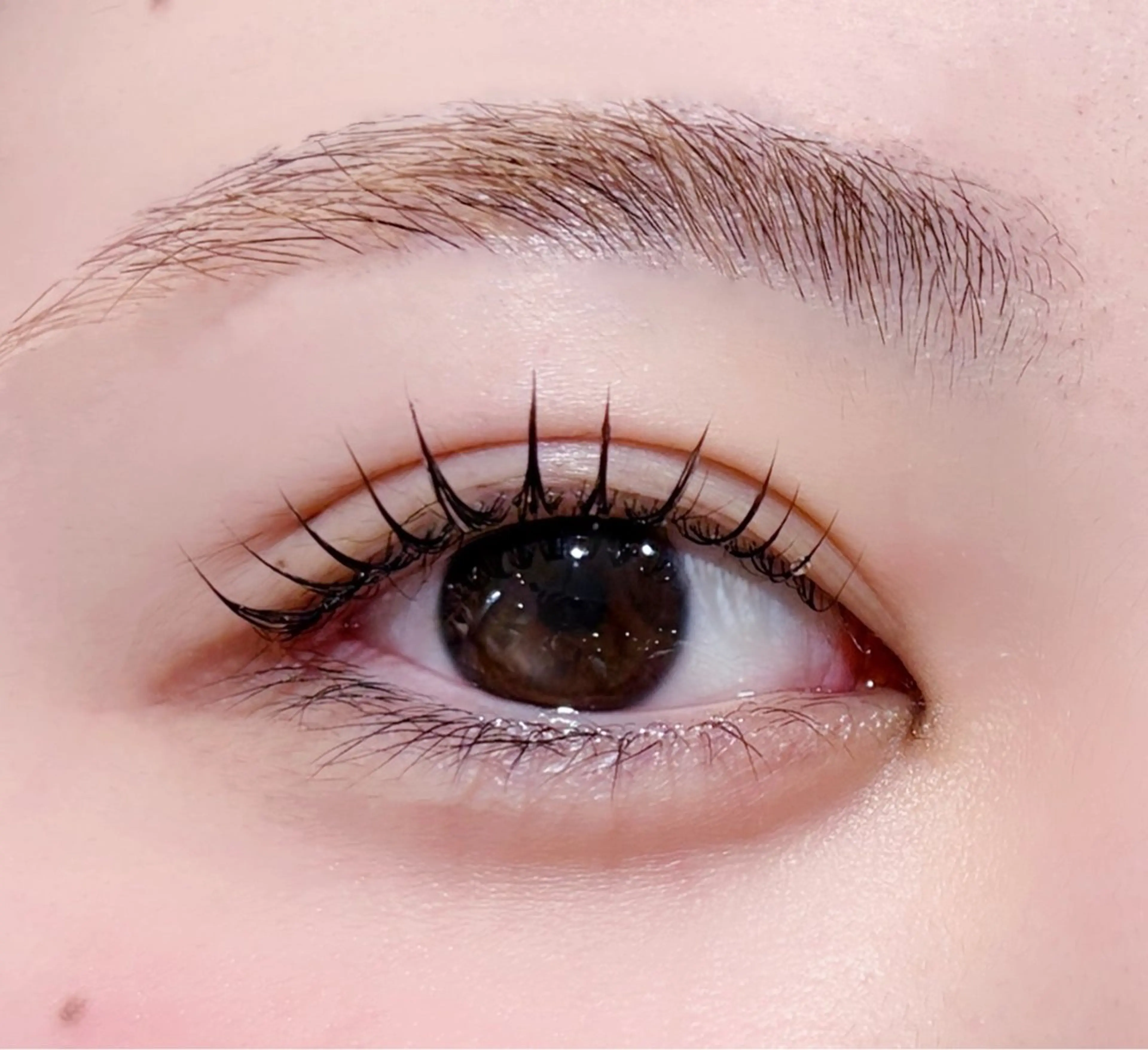 マツエク・マツパ マツパ 🍒Fuka🐻 ルミネ横浜9F💎のマツエク・マツパデザイン