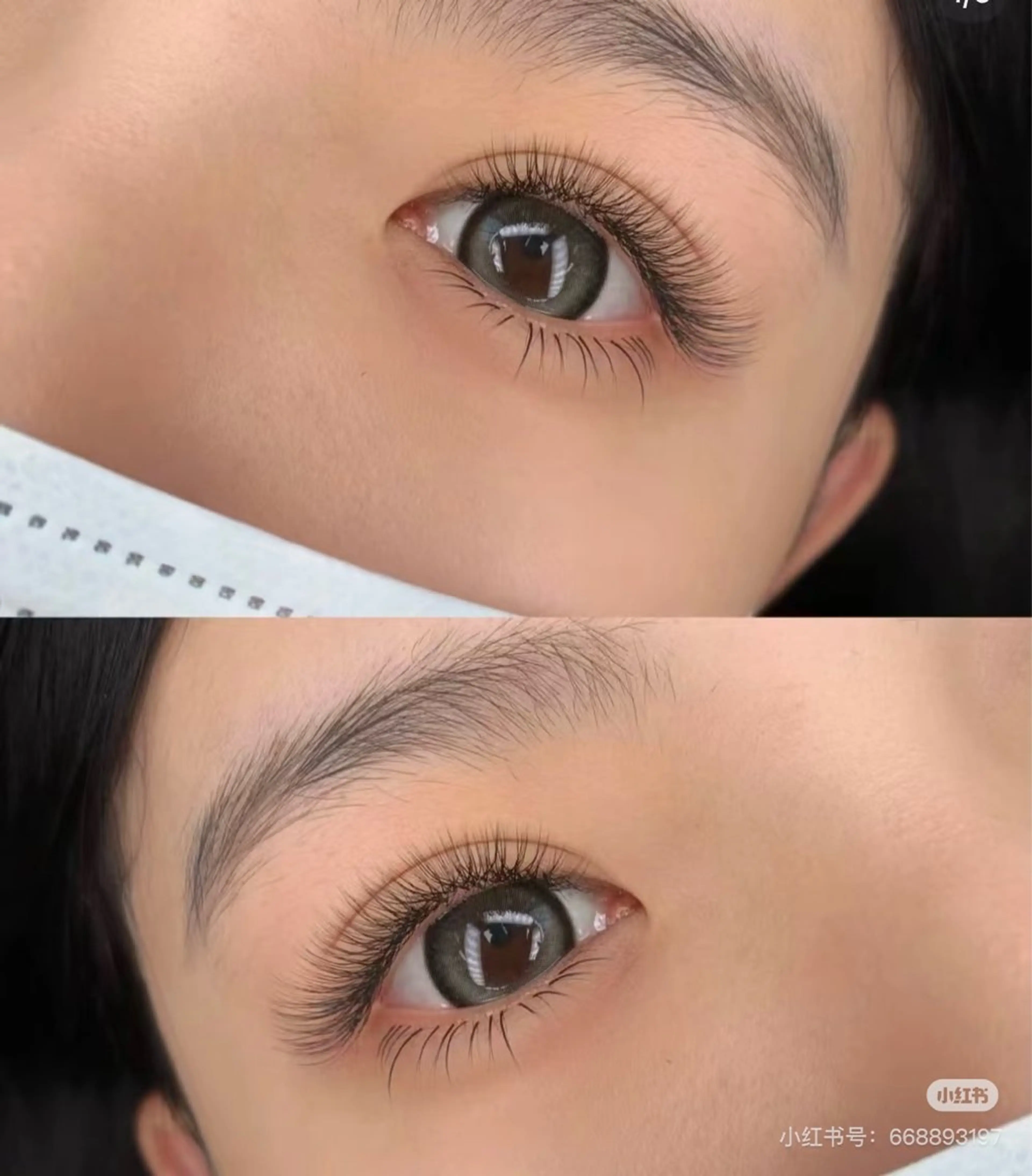 【LED無料】🔥フッラトラッシュ120本＋下まつ毛20本￥5980/140本➕下まつ毛30本￥6980アイパック付きの写真