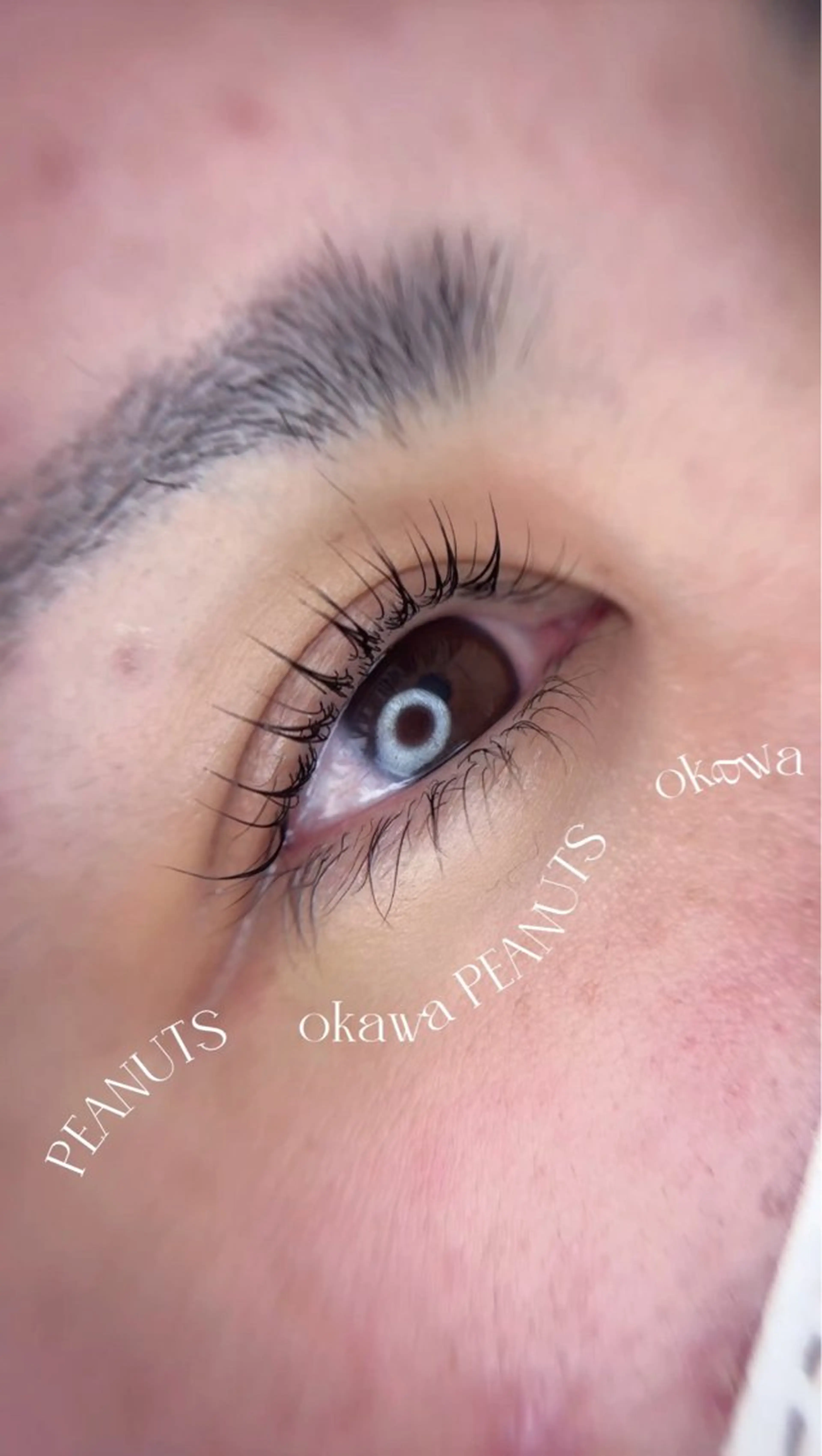 【練習モデルまつ毛パーマ】(上のみ)4月限定3500円の写真