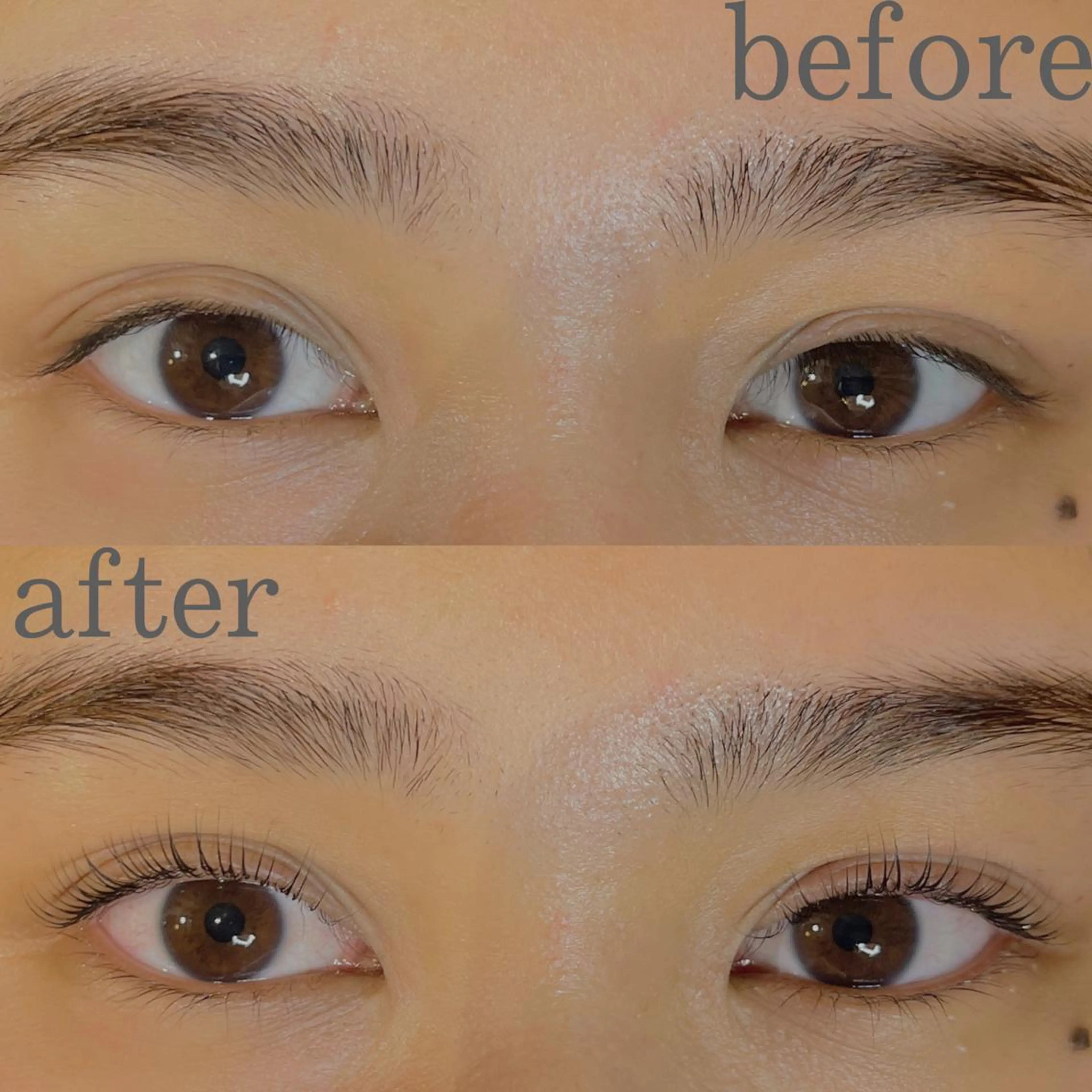 マツエク・マツパ 本多 渚彩のマツエク・マツパデザイン