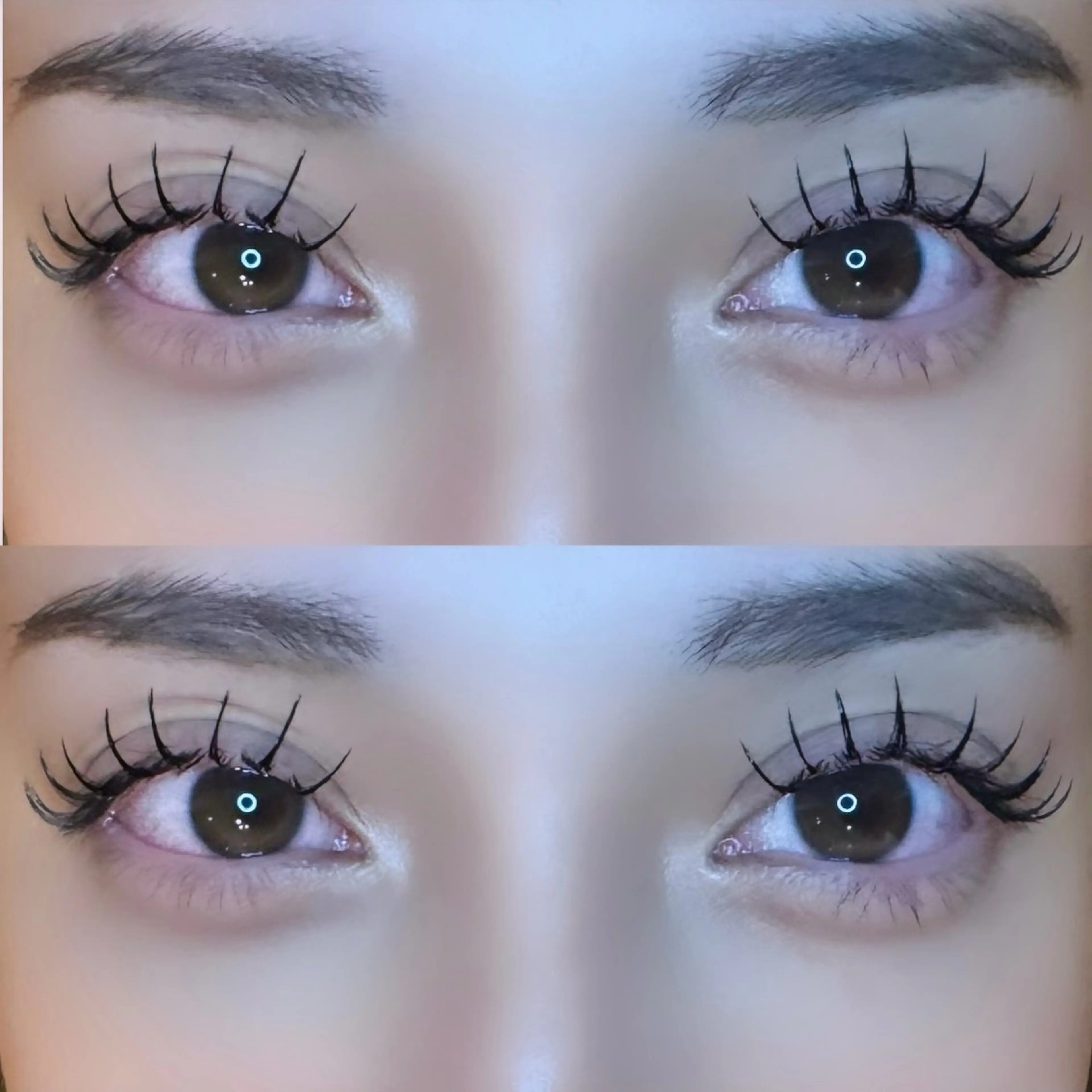 🩶Wフラット🩶100~120束+コーティング付の写真