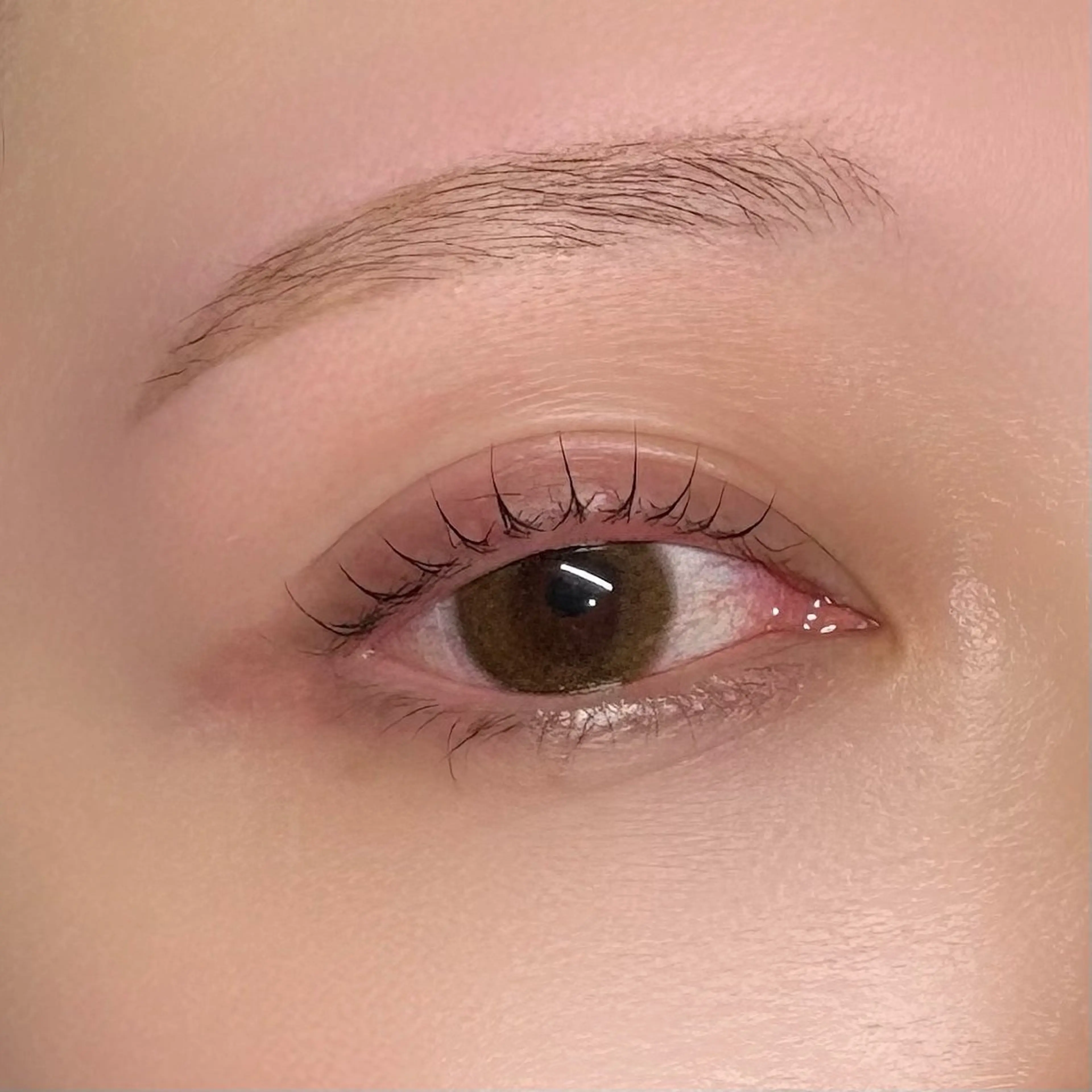 アイブロウ Laurel 🎀Minamiのマツエク・マツパデザイン