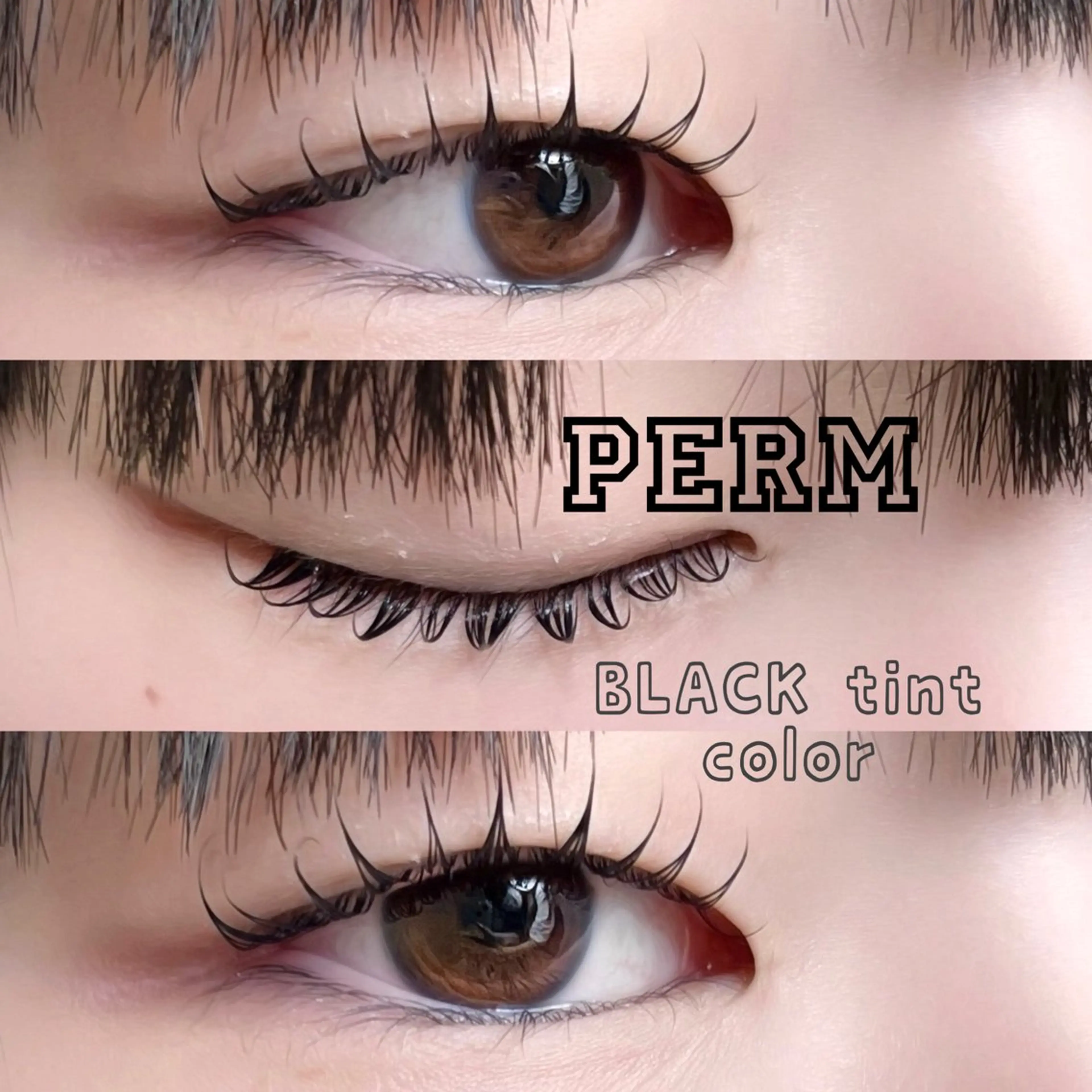 マツエク・マツパ LASH muse .のマツエク・マツパデザイン