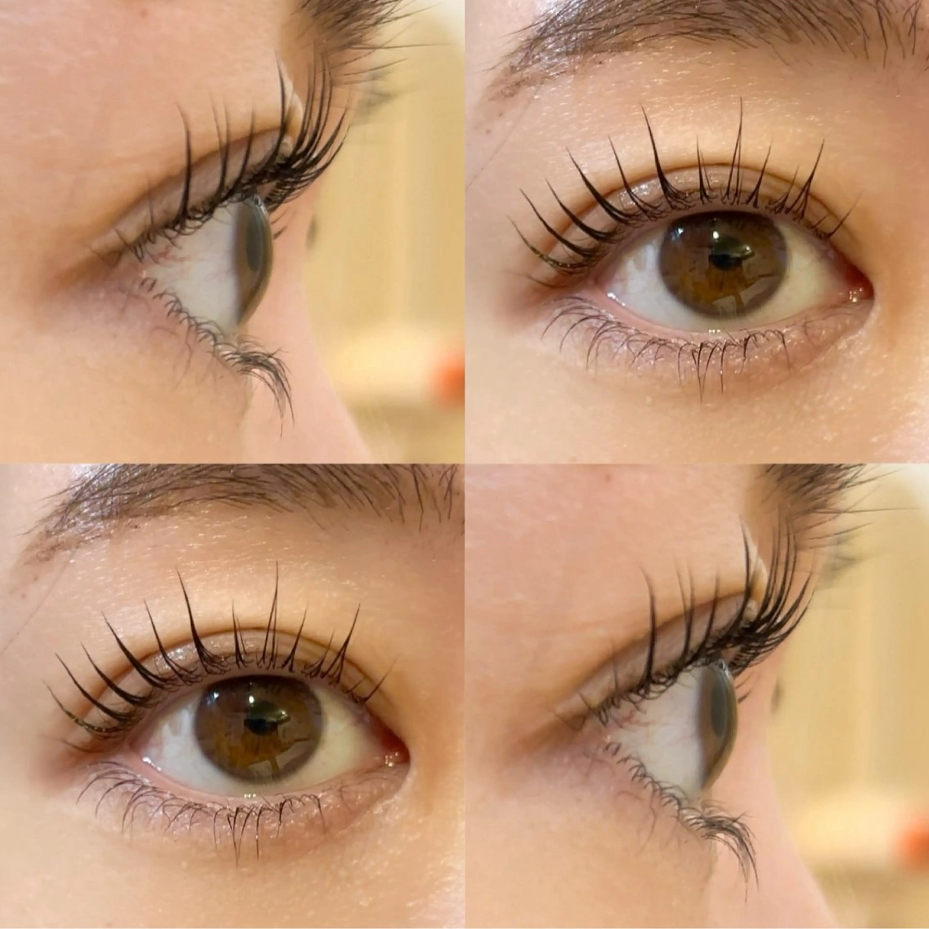 マツエク・マツパ マツパ 平和島駅徒歩7分 Ayaのマツエク・マツパデザイン