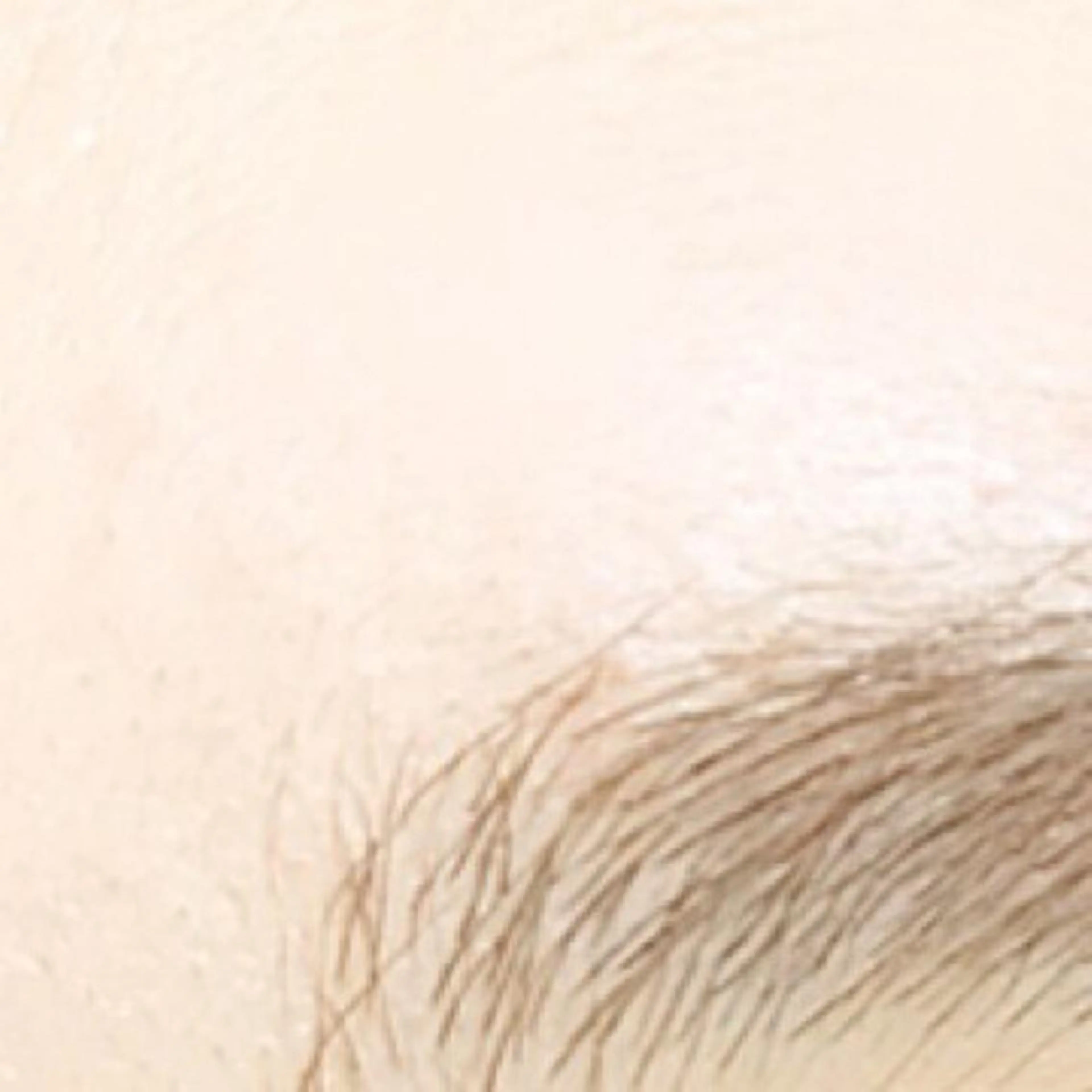 マツエク・マツパ eyelash- r🌹の眉毛・アイブロウイメージ