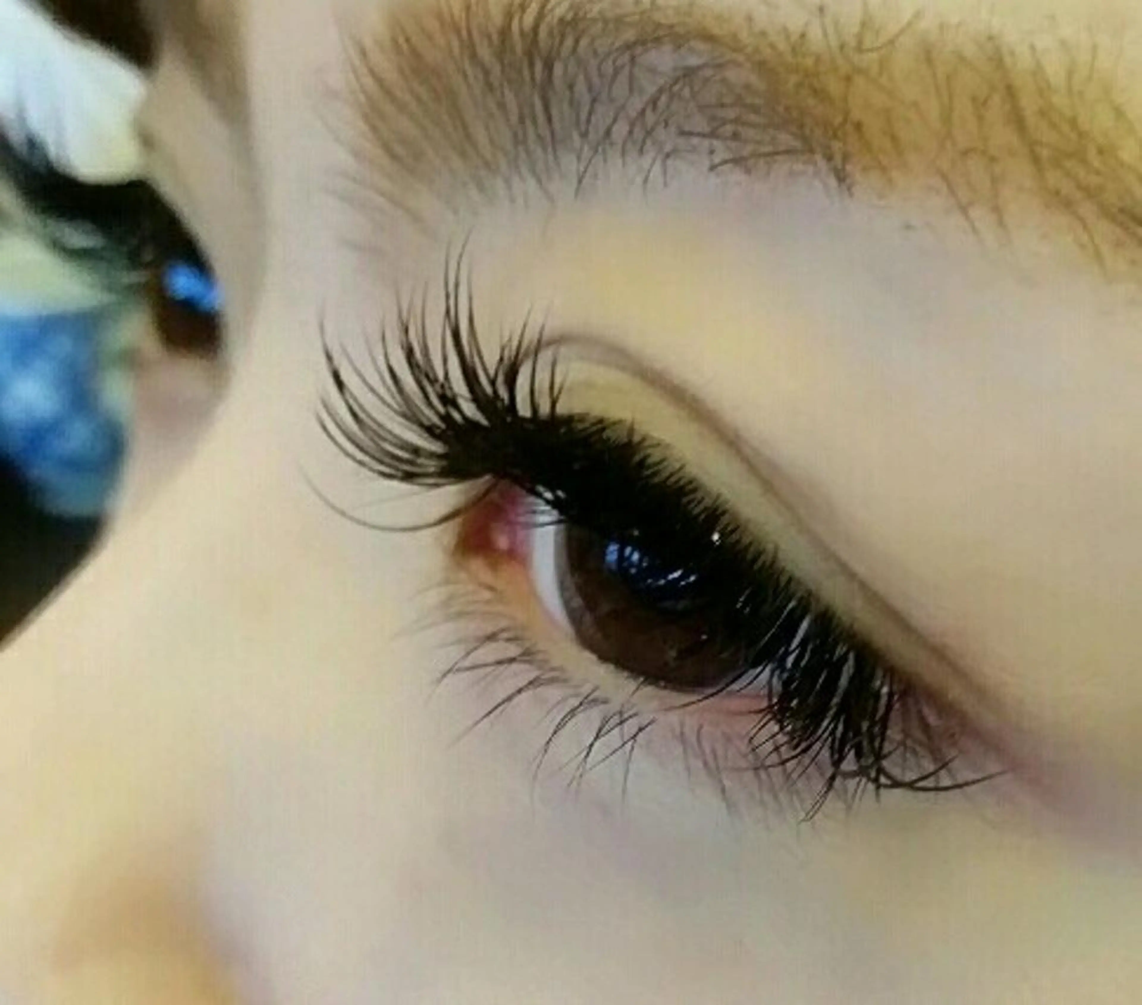 マツエク・マツパ マツエク 大野 友梨のヘアスタイル