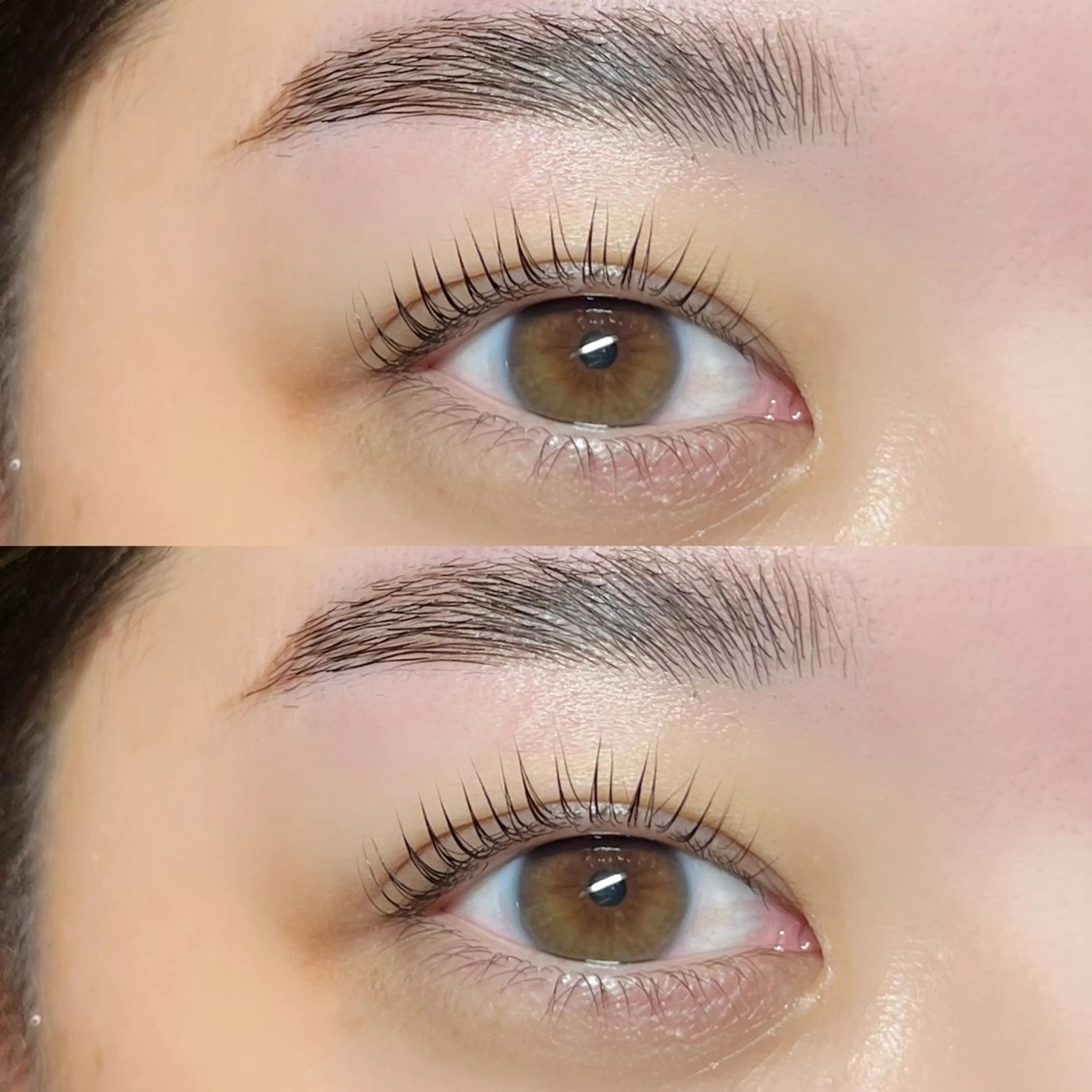 アイブロウ ハリウッドブロウリフト Milobyking 🍒rihoの眉毛・アイブロウイメージ