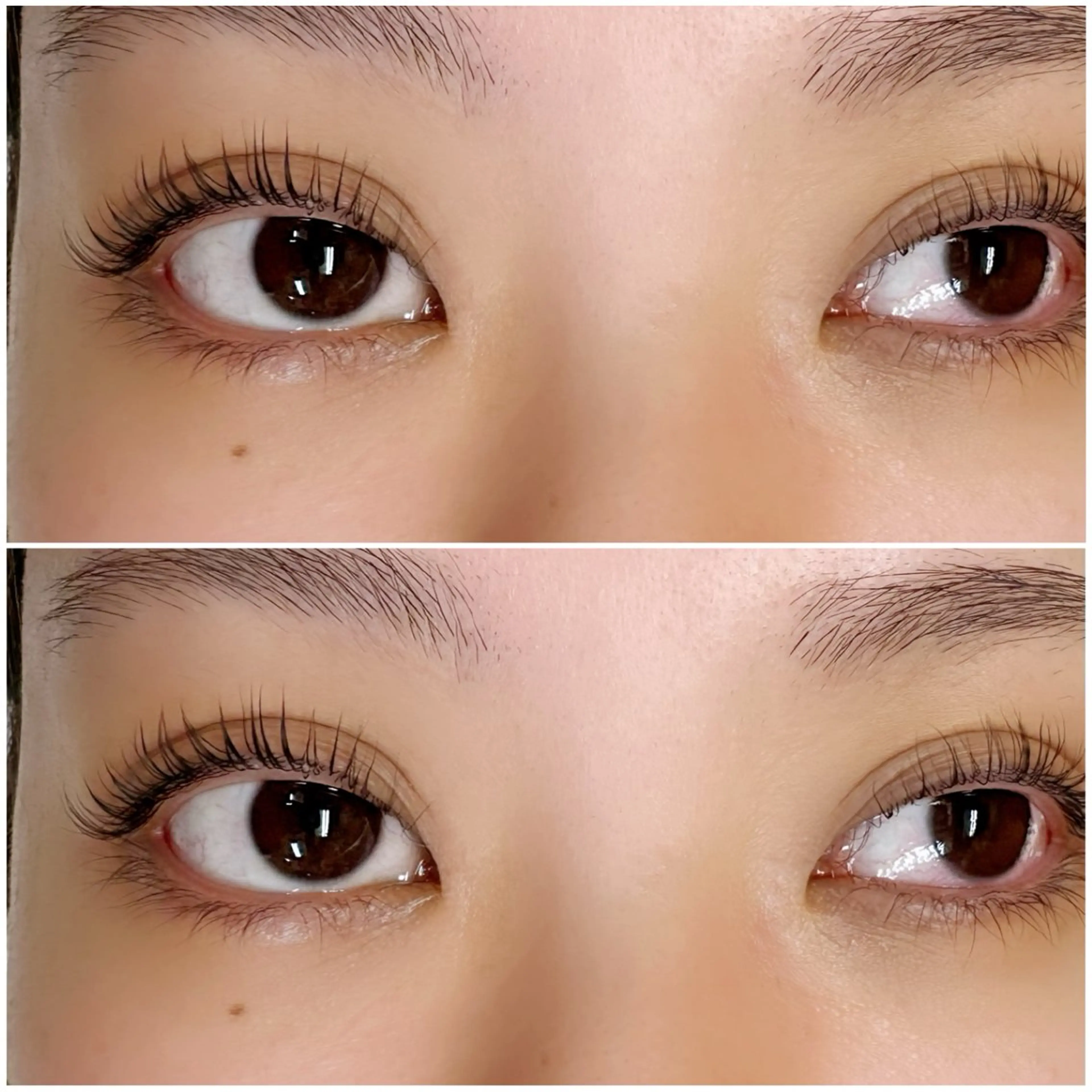 マツエク・マツパ 【マツエク/パーマ】 成田のマツエク・マツパデザイン