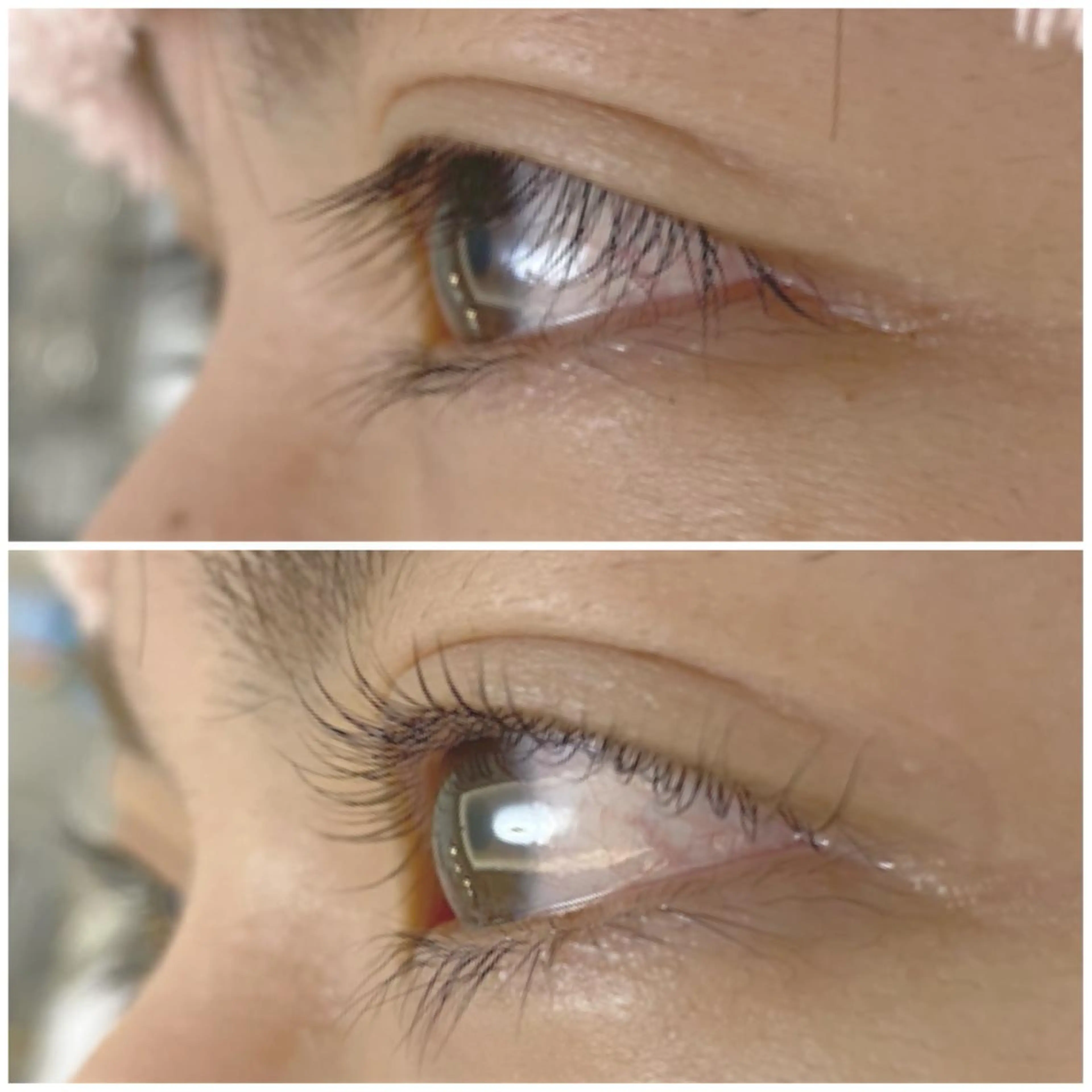 マツエク・マツパ アッパーリフトカール マツパ 【Bloomy.】 竹内のマツエク・マツパデザイン