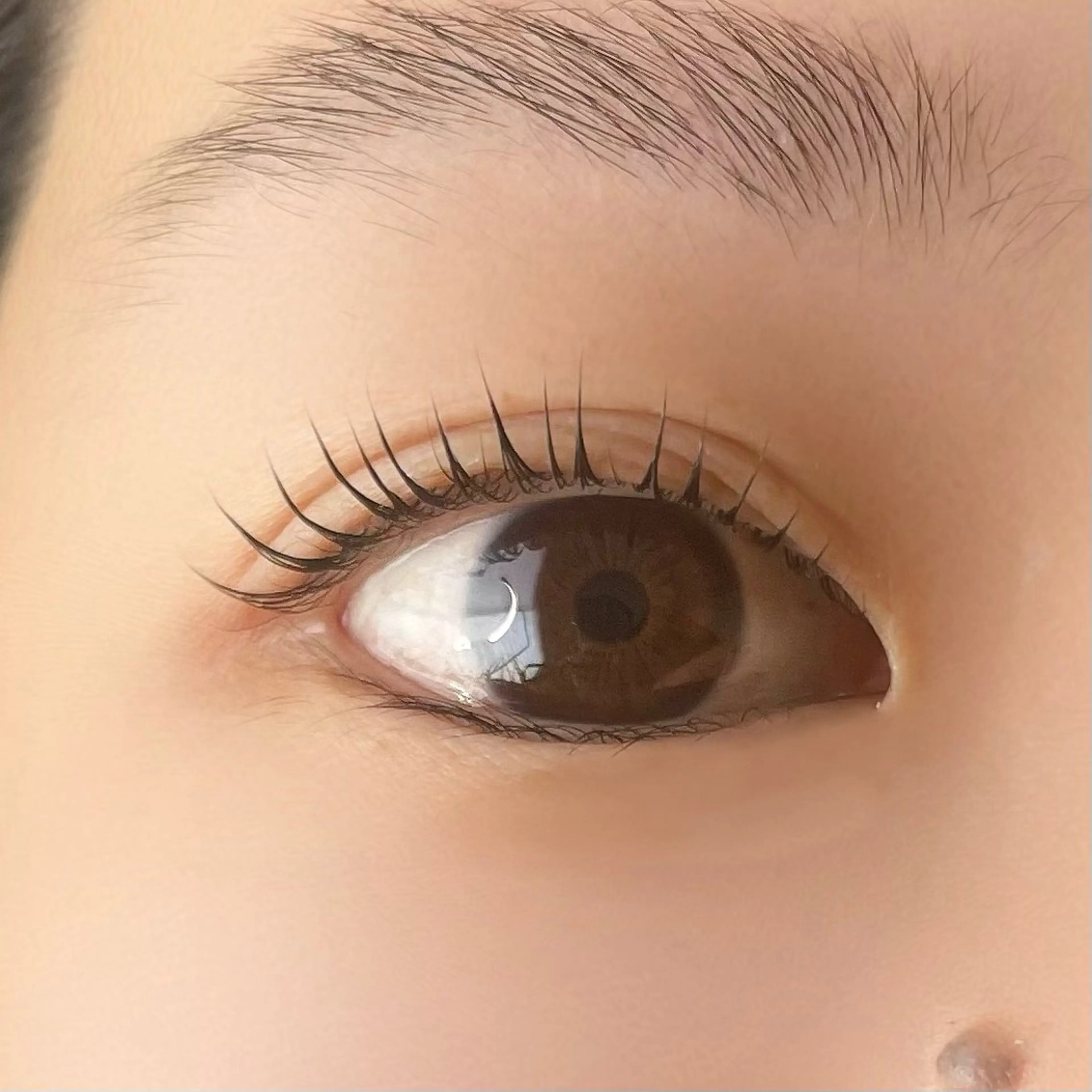 マツエク・マツパ BIMOA eyelash salon所属・BIMOA ビモアのマツエク・マツパデザイン