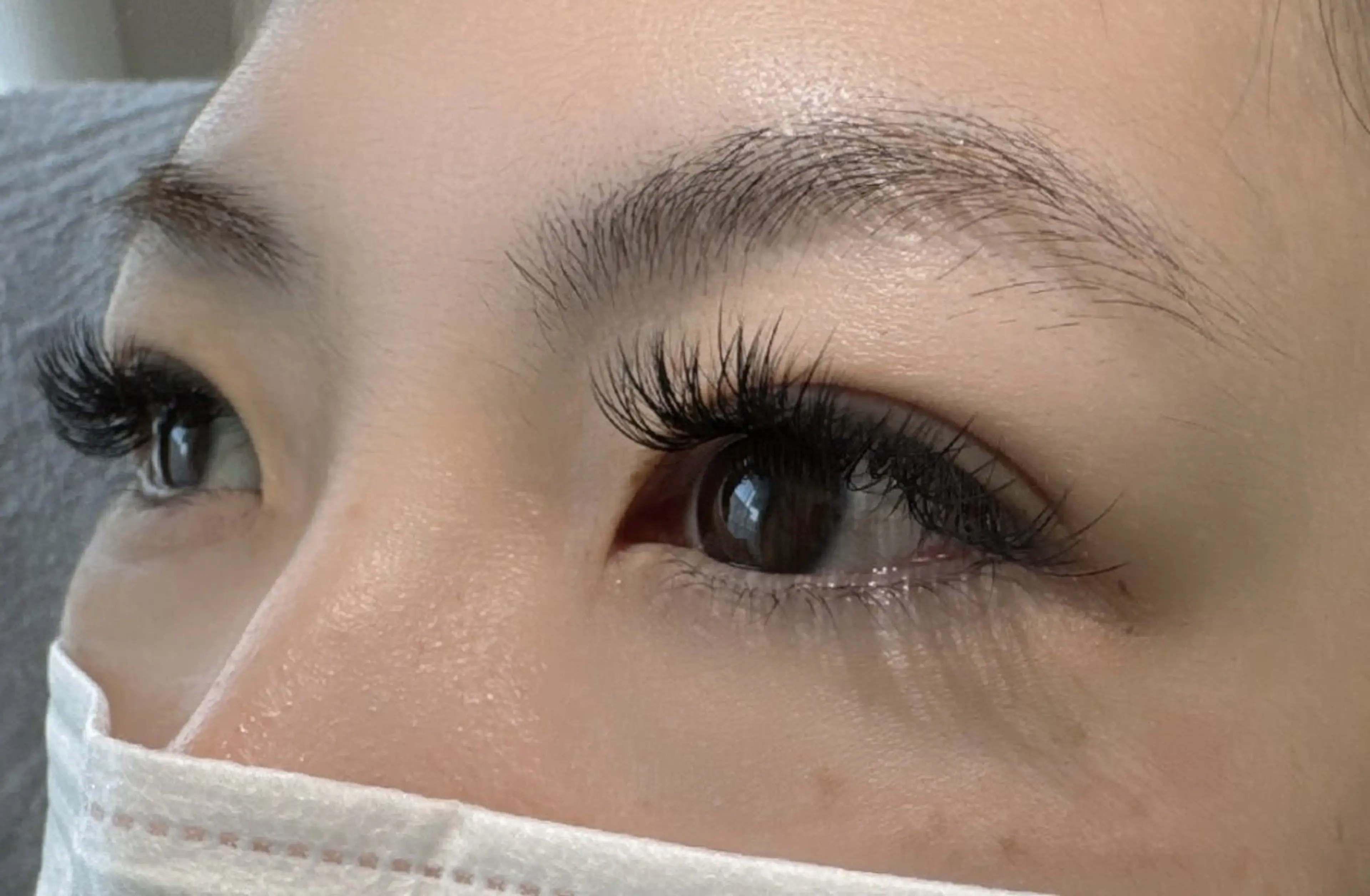 バインドロック　120束　¥5480の写真