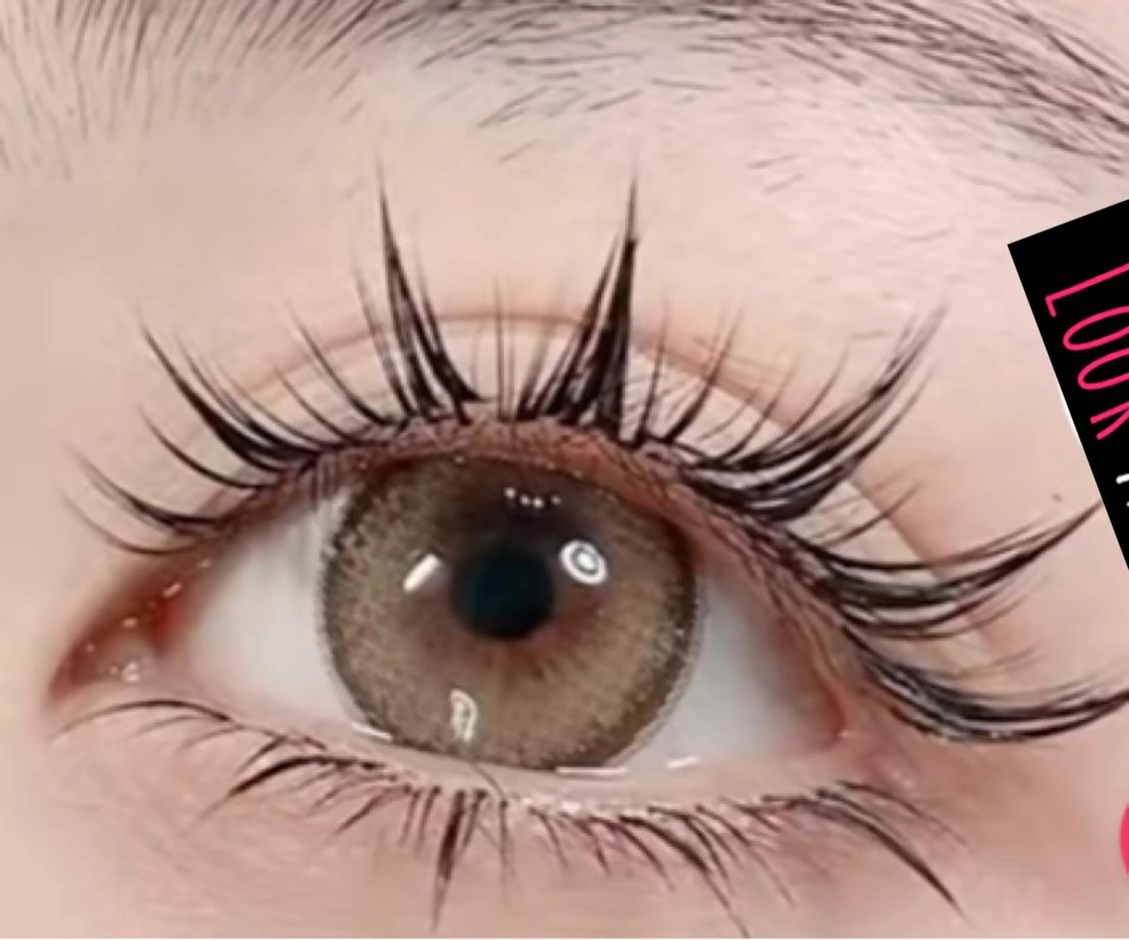 マツエク・マツパ マツエク yingsalon 🧚ゆうな🧚‍♂️のマツエク・マツパデザイン