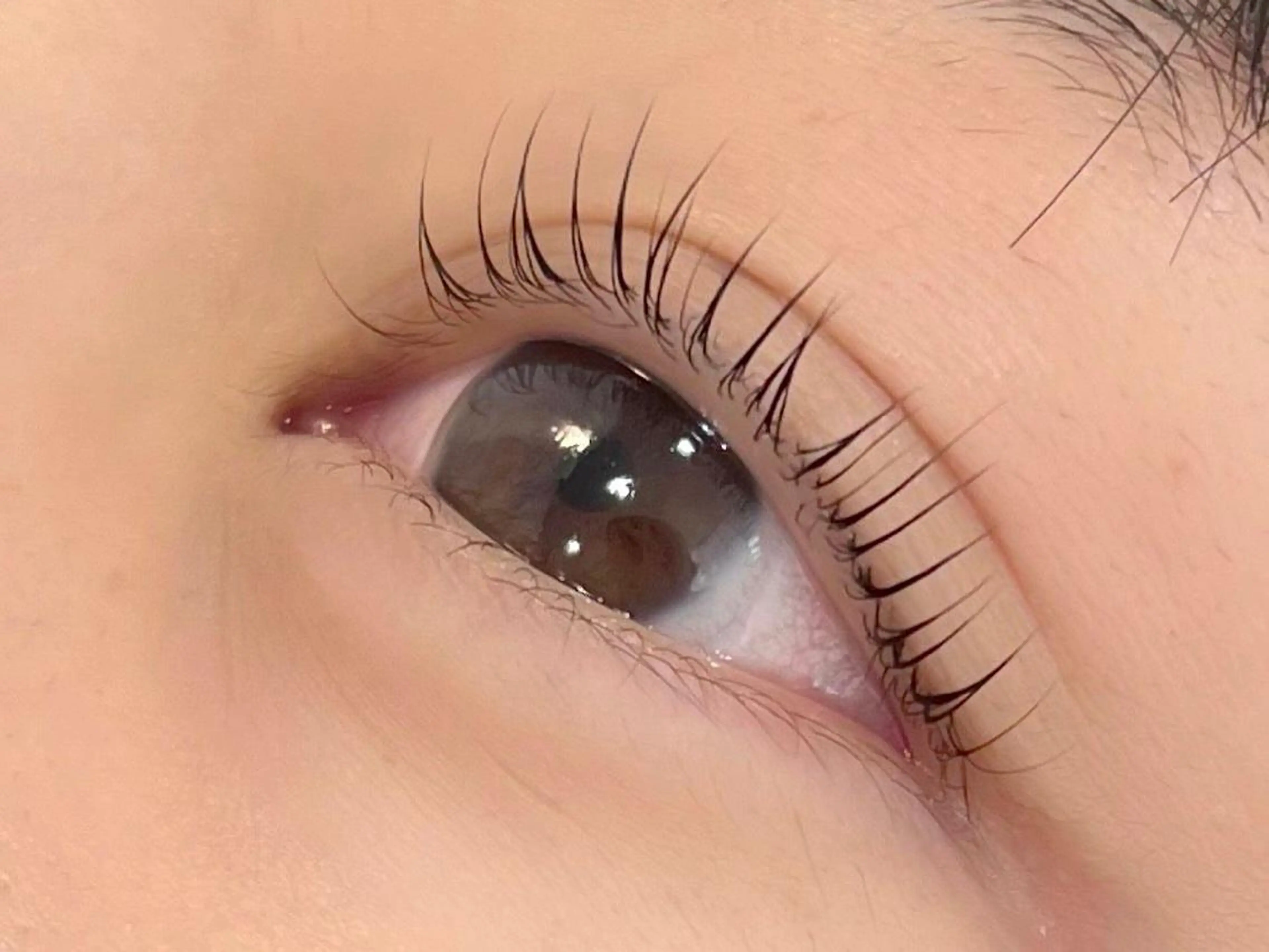 マツエク・マツパ Flara 京都七条高倉店のマツエク・マツパデザイン