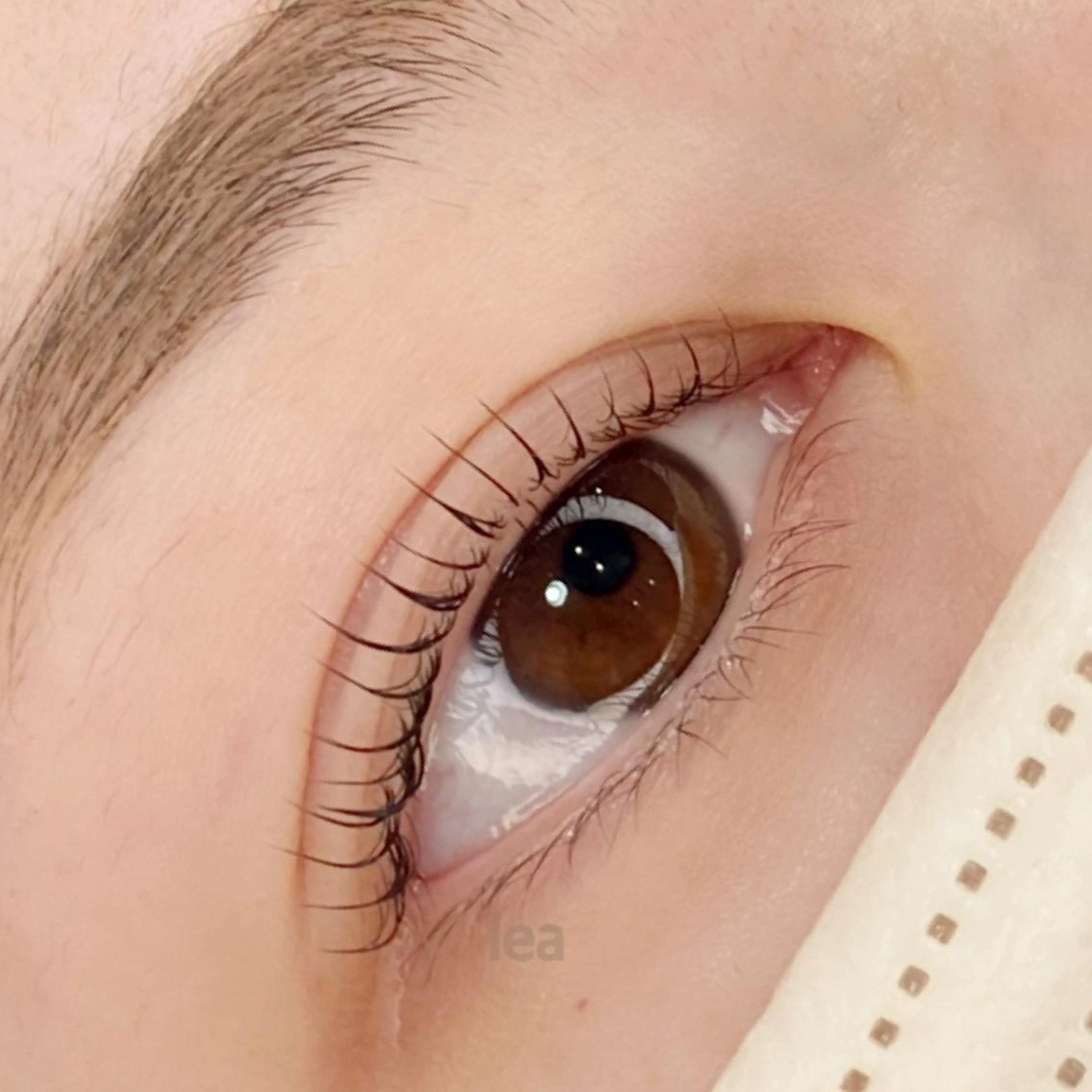 マツエク・マツパ eyelash leaのマツエク・マツパデザイン