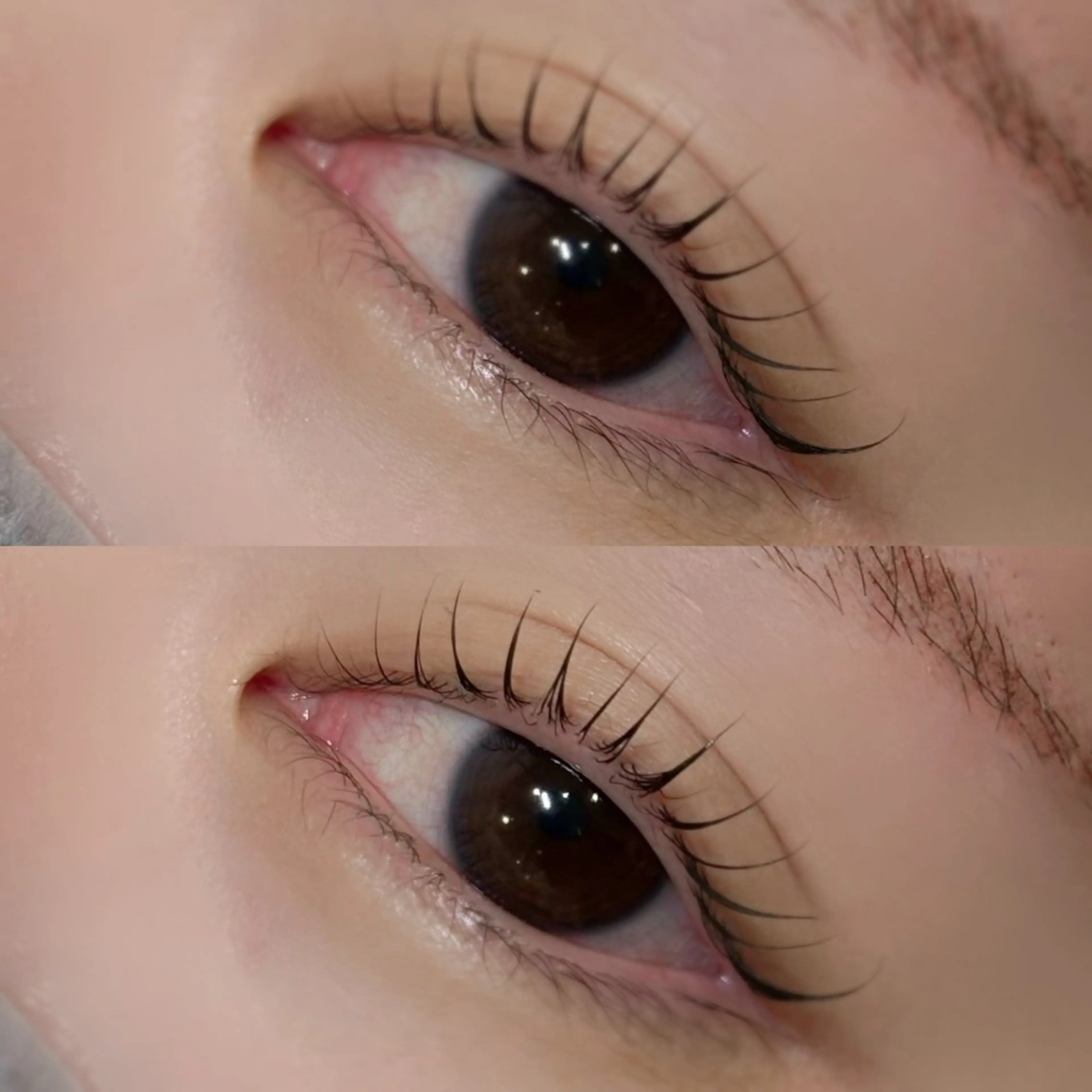 🧸リピーター様🫧パリジェンヌorまつ毛パーマの写真