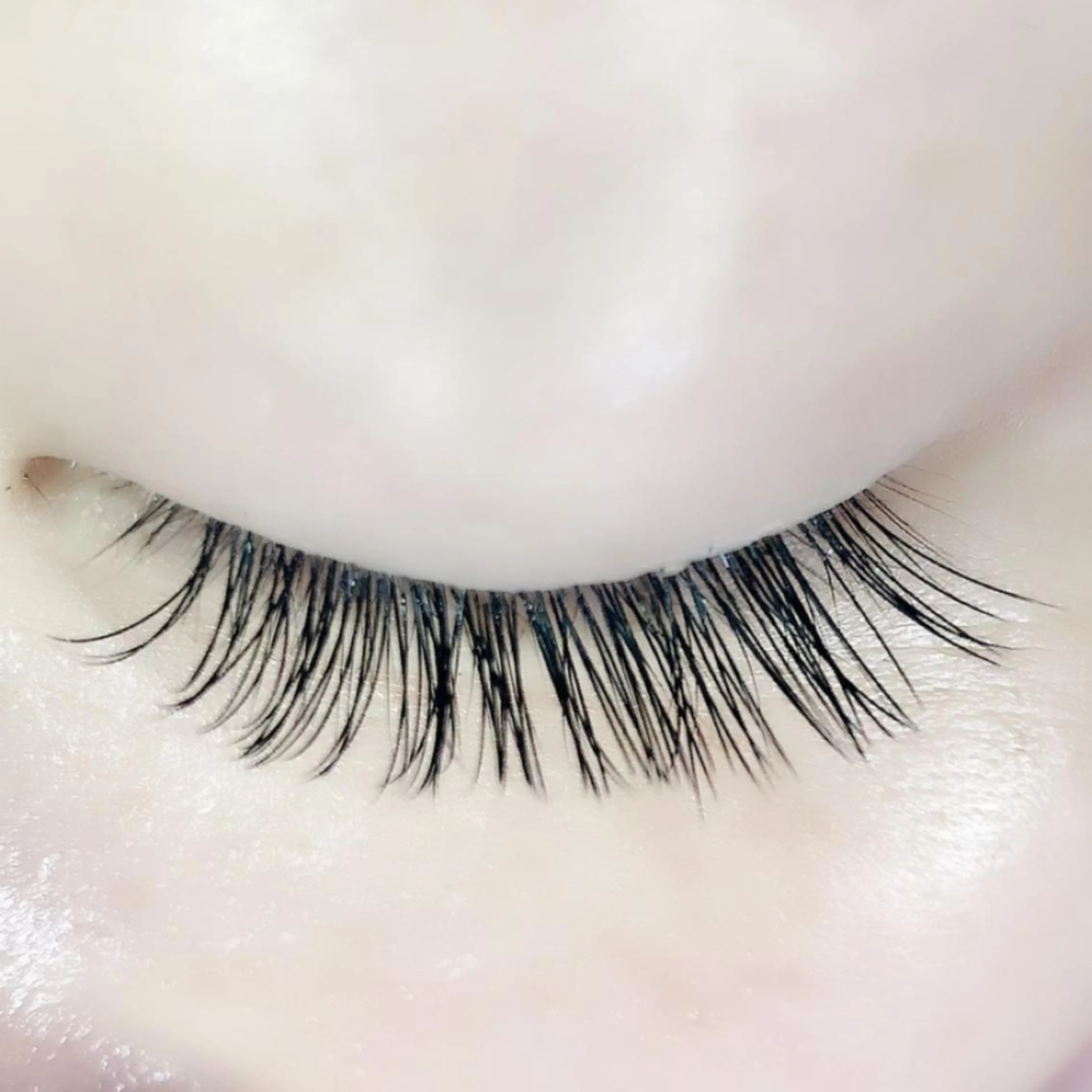 マツエク・マツパ Hase　本八幡 🧸マツエク専門🧸のマツエク・マツパデザイン