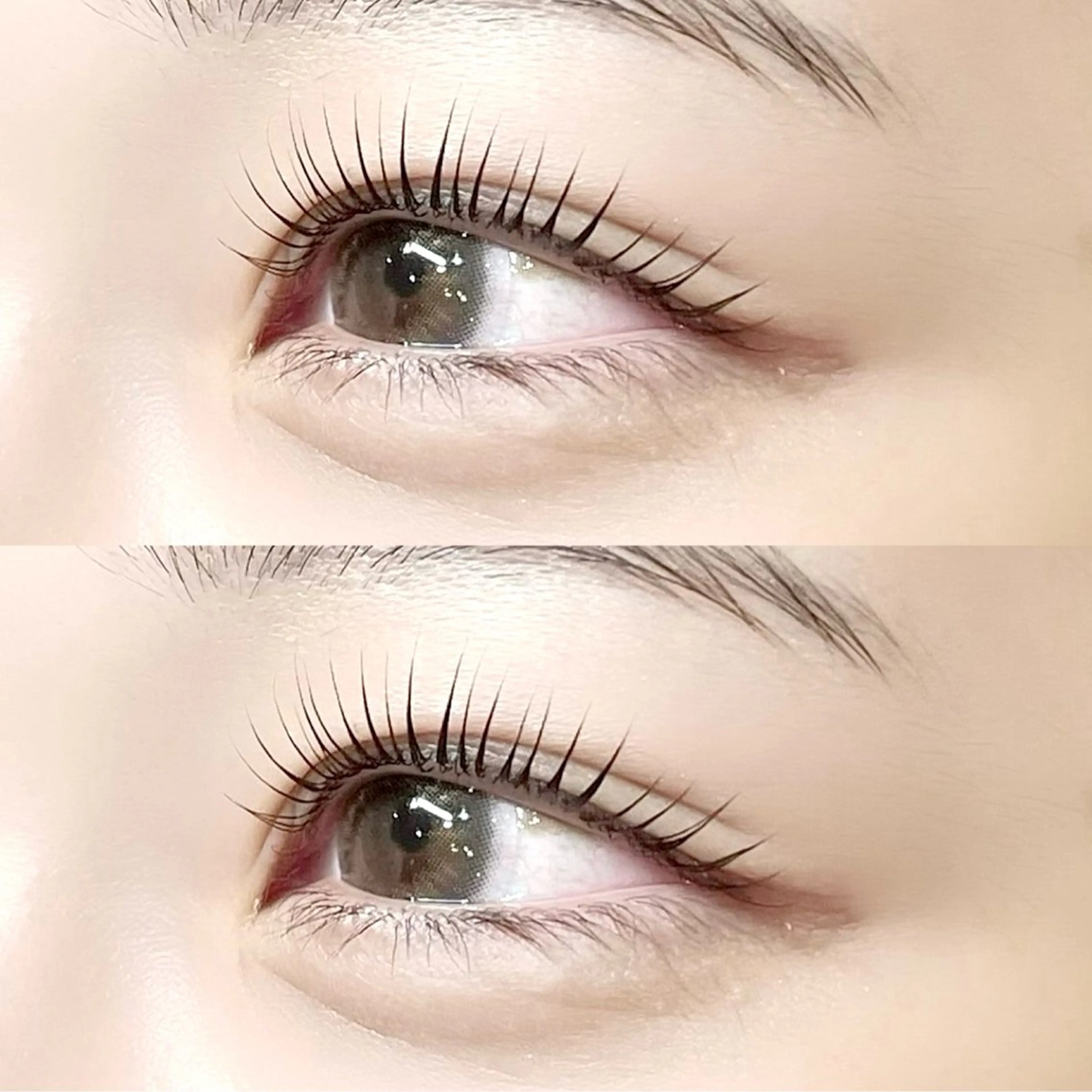 【ご新規様】韓国式☆ノーグルーまつげパーマの写真