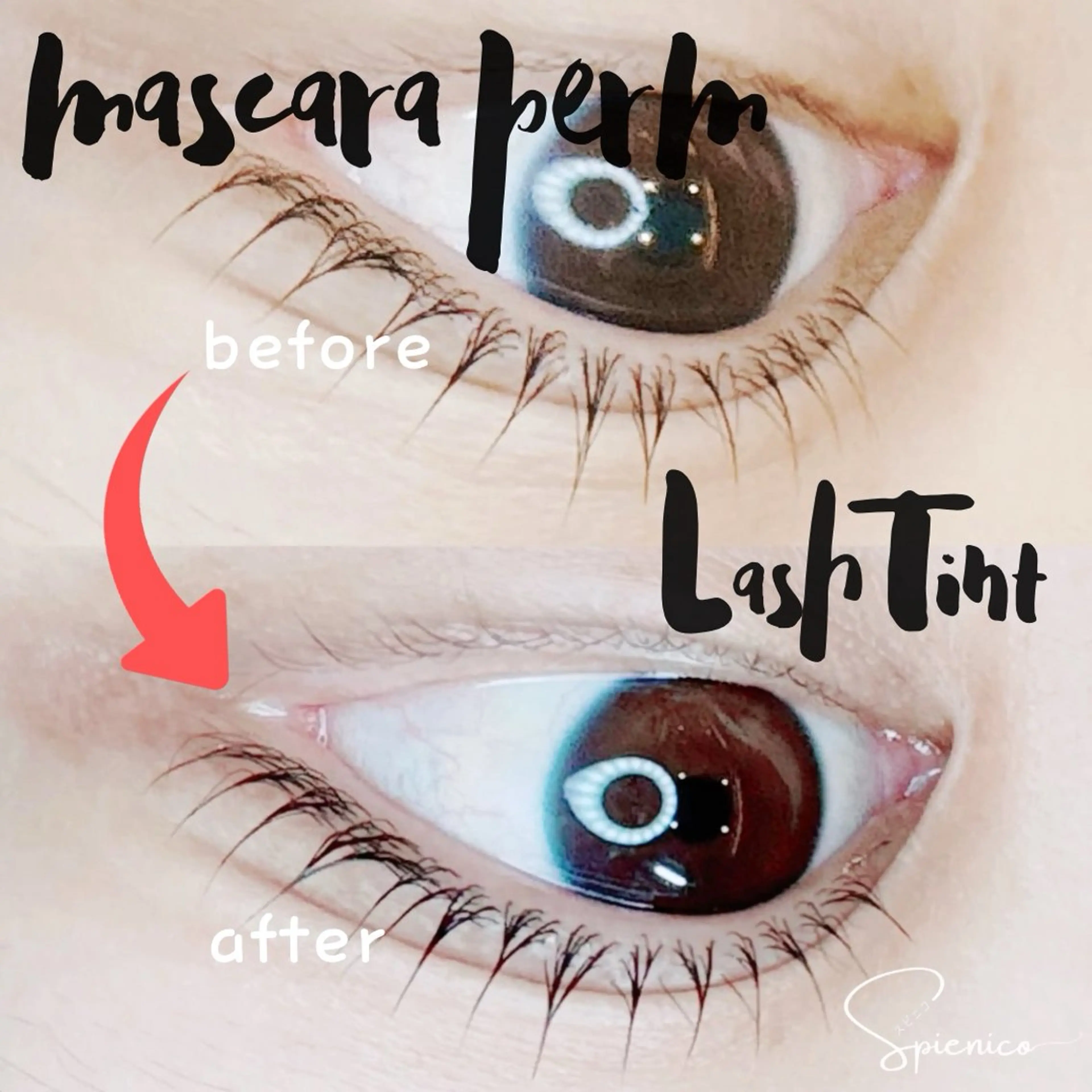 マツエク・マツパ まつげパーマ Eyelash Spienicoのその他イメージ